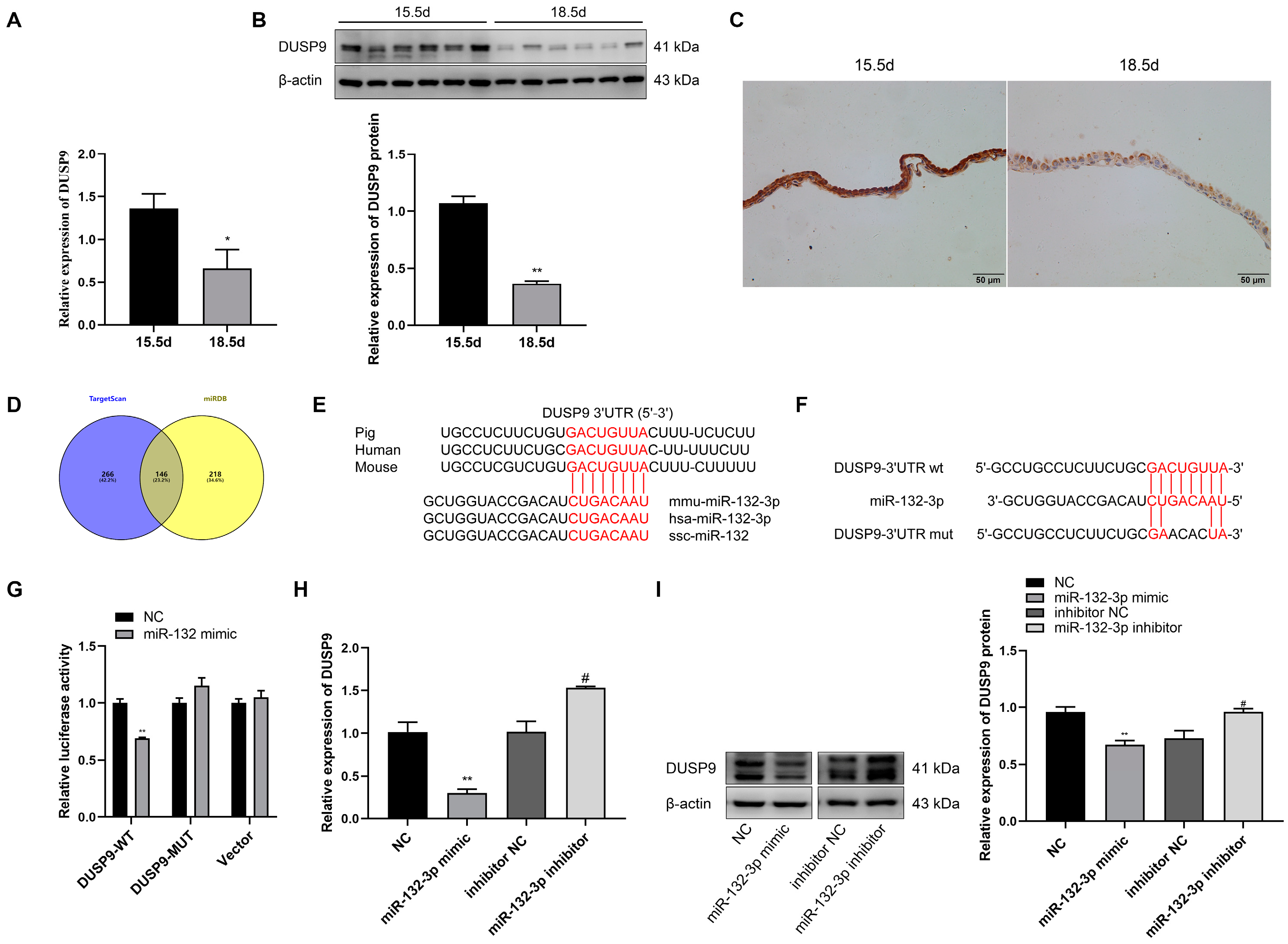 Ijms 23 01864 g003 Ijms 23 01864 g003