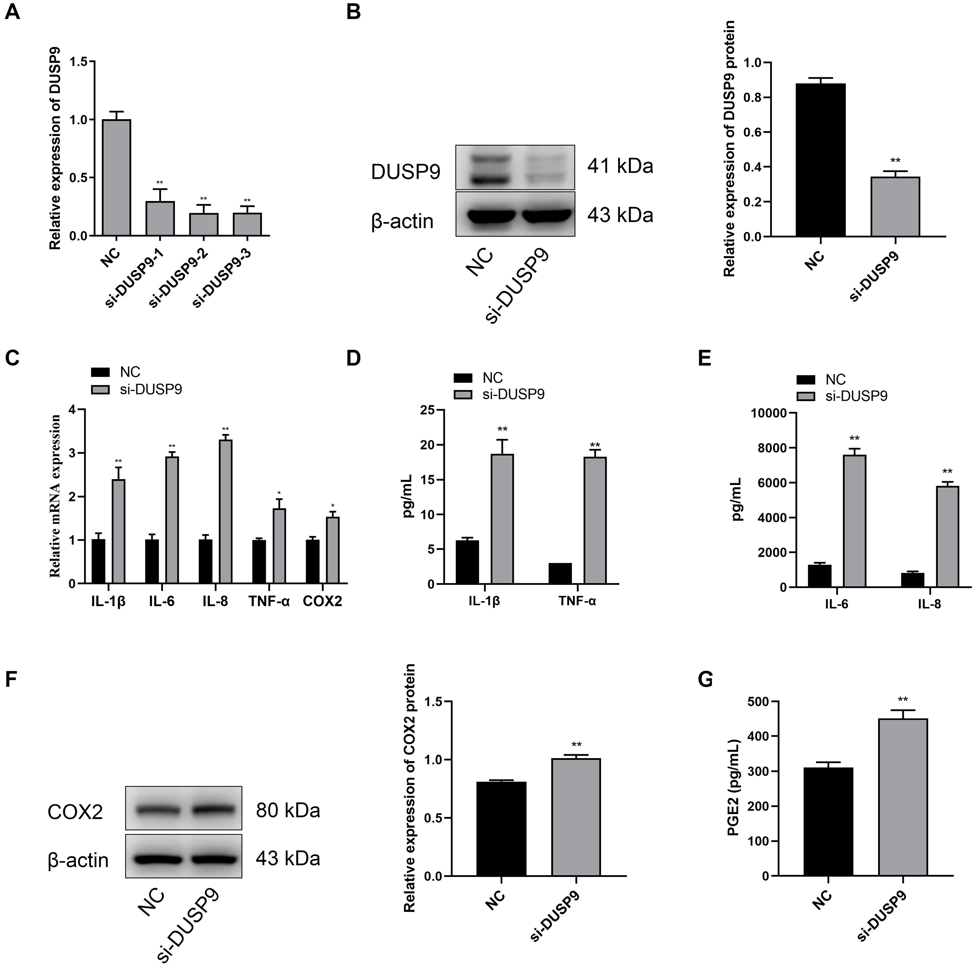 Ijms 23 01864 g004 Ijms 23 01864 g004
