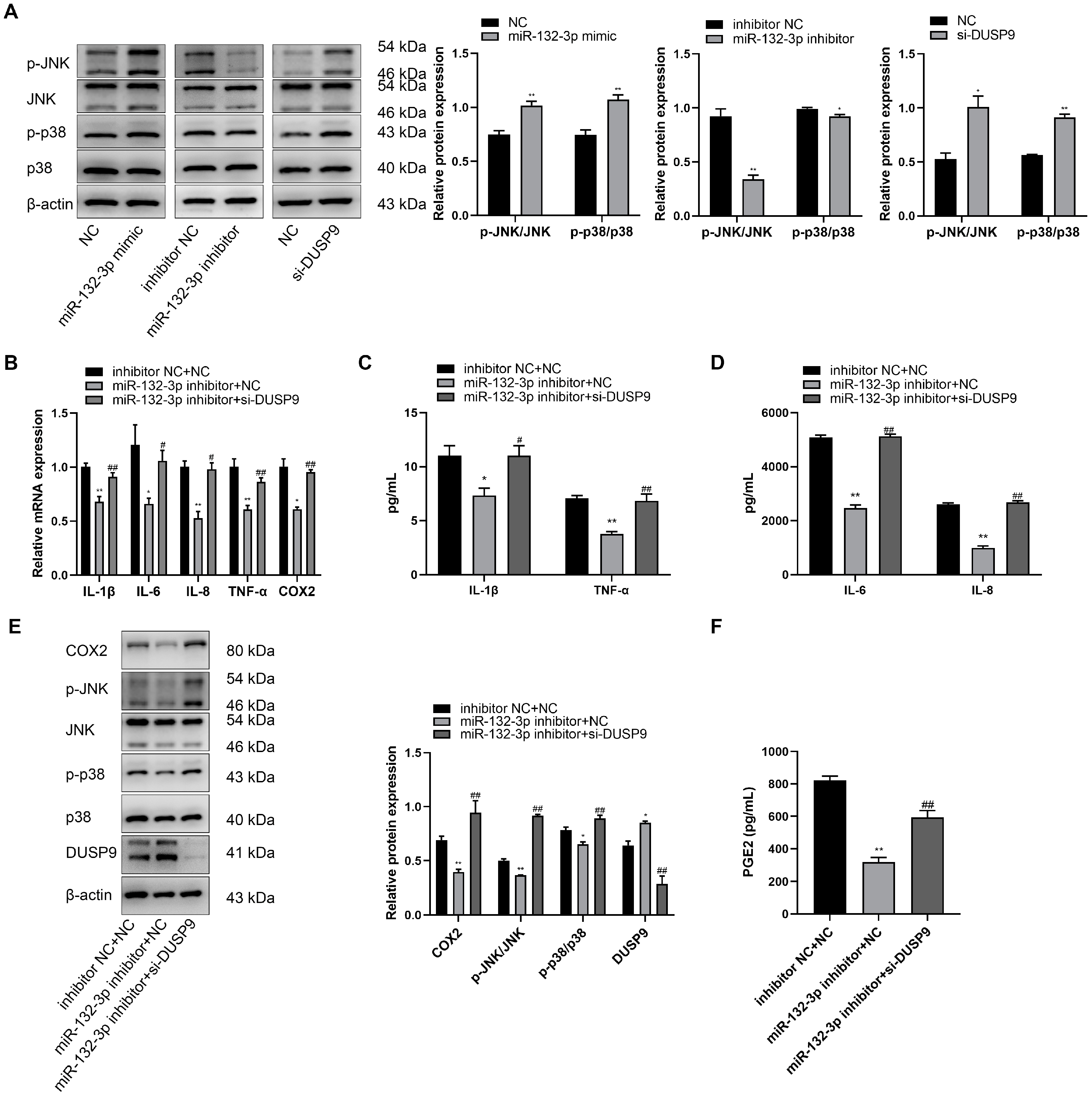 Ijms 23 01864 g005 Ijms 23 01864 g005