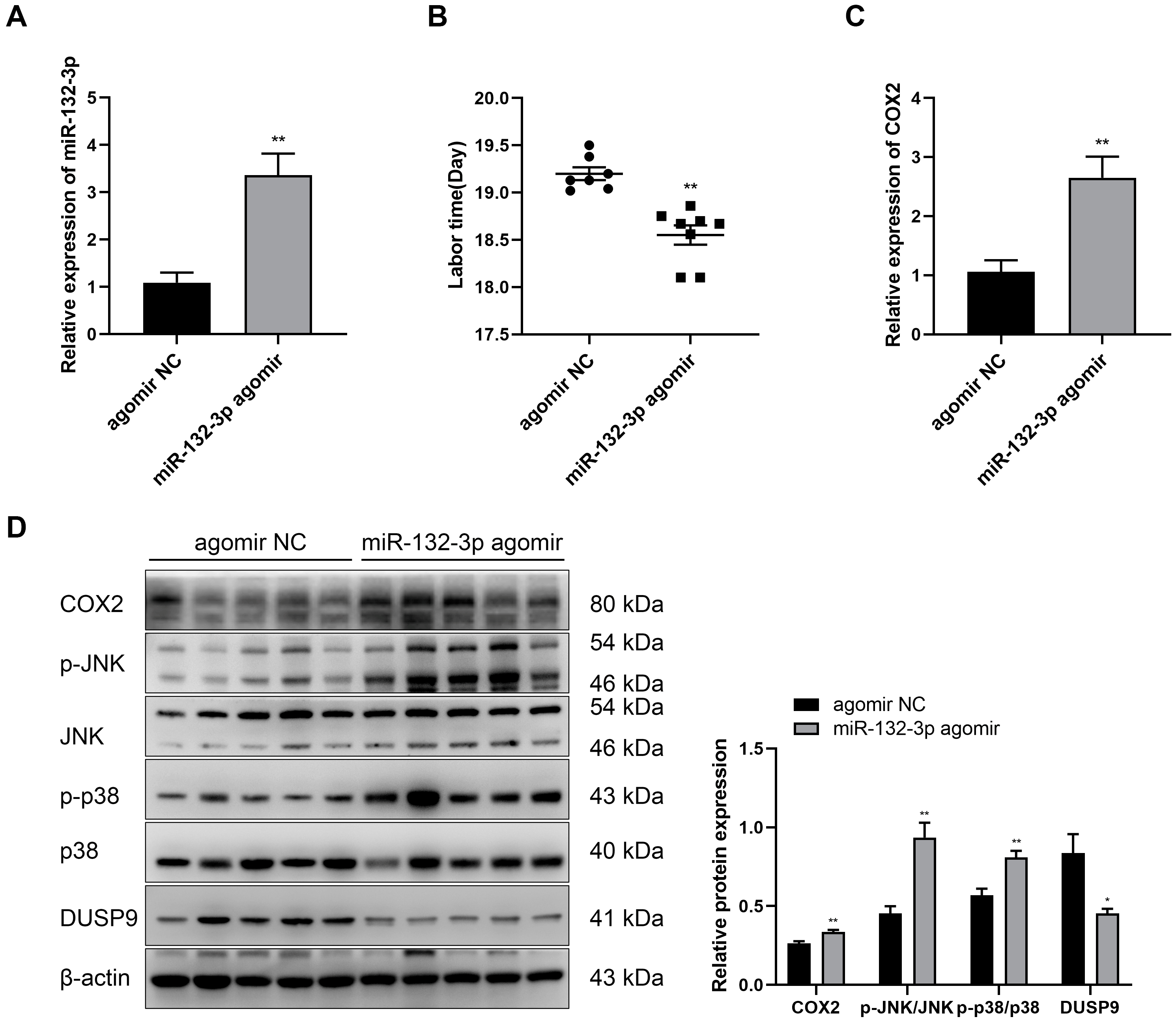 Ijms 23 01864 g007 Ijms 23 01864 g007