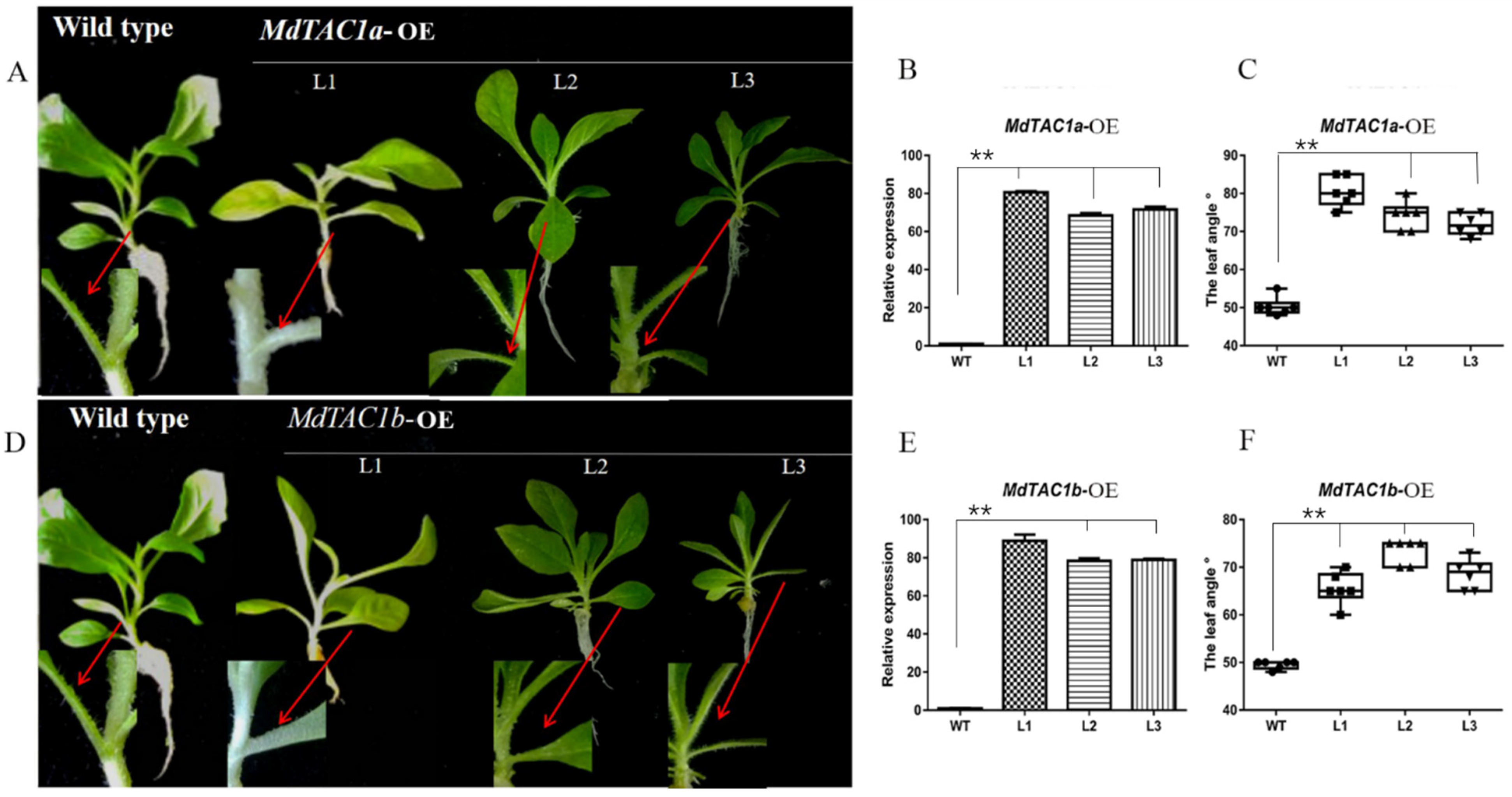 Ijms 23 01870 g002 Ijms 23 01870 g002
