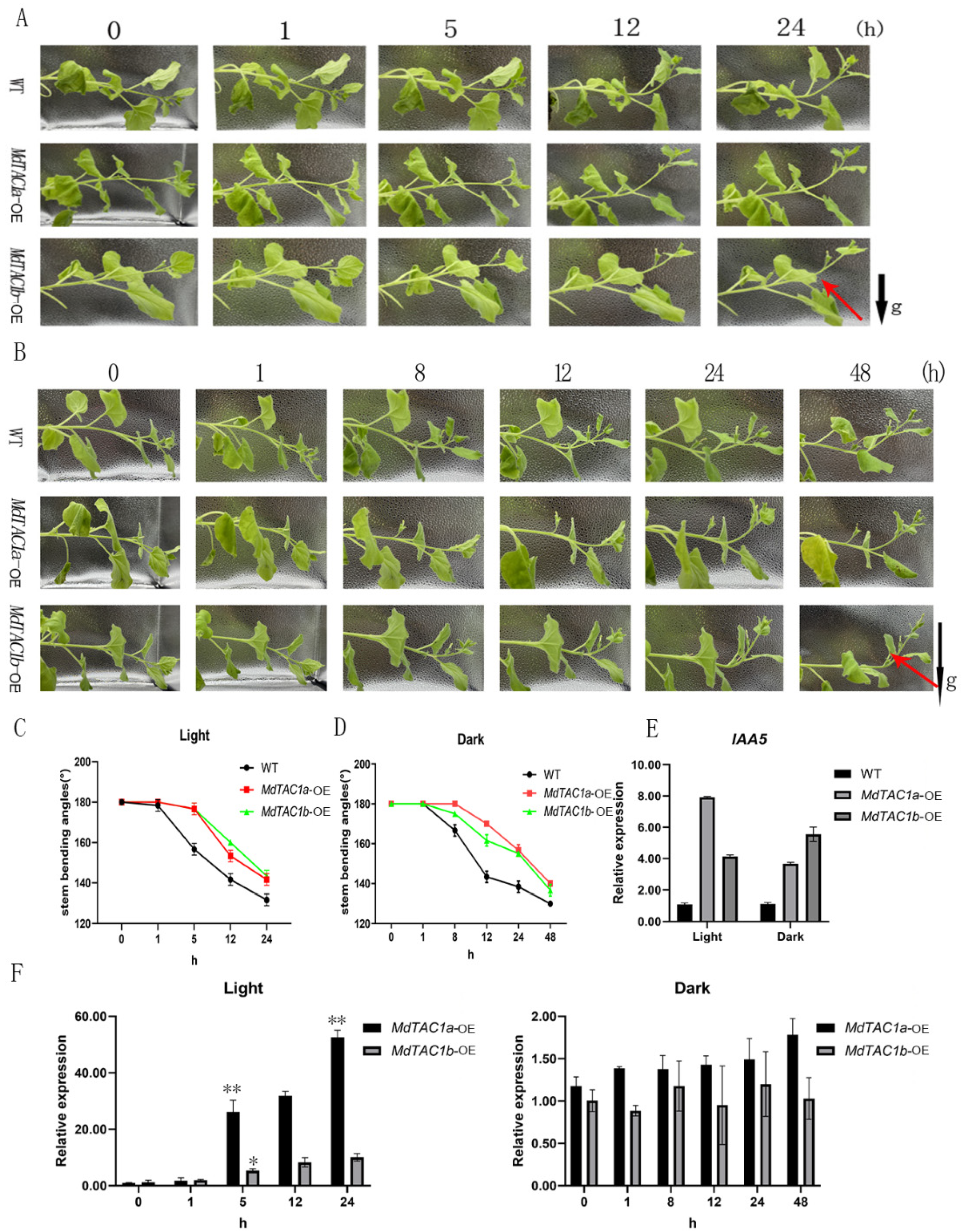 Ijms 23 01870 g004 Ijms 23 01870 g004