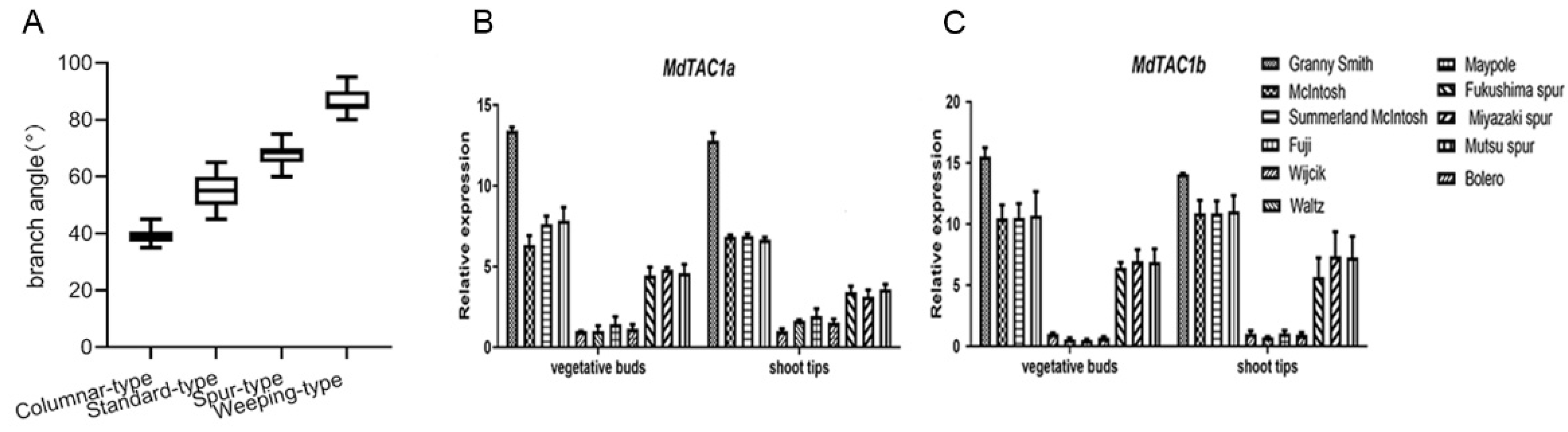 Ijms 23 01870 g005 Ijms 23 01870 g005