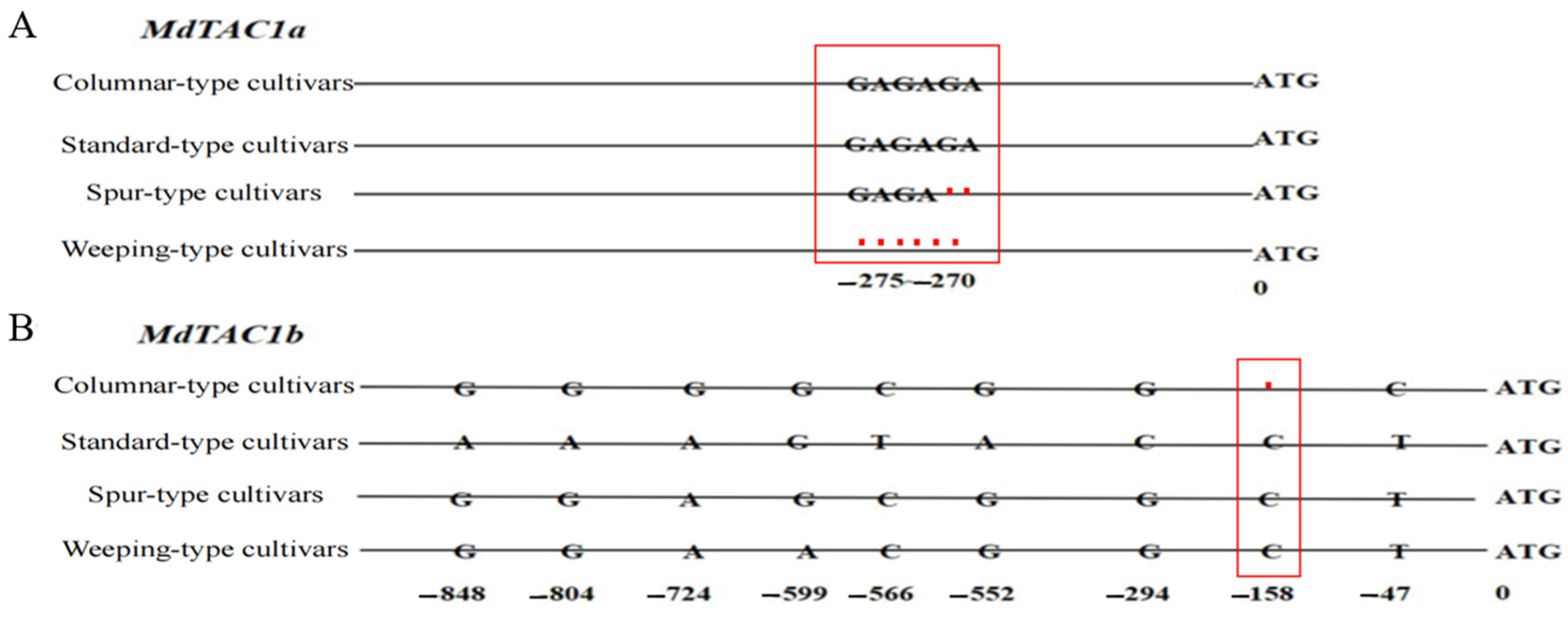 Ijms 23 01870 g006 Ijms 23 01870 g006