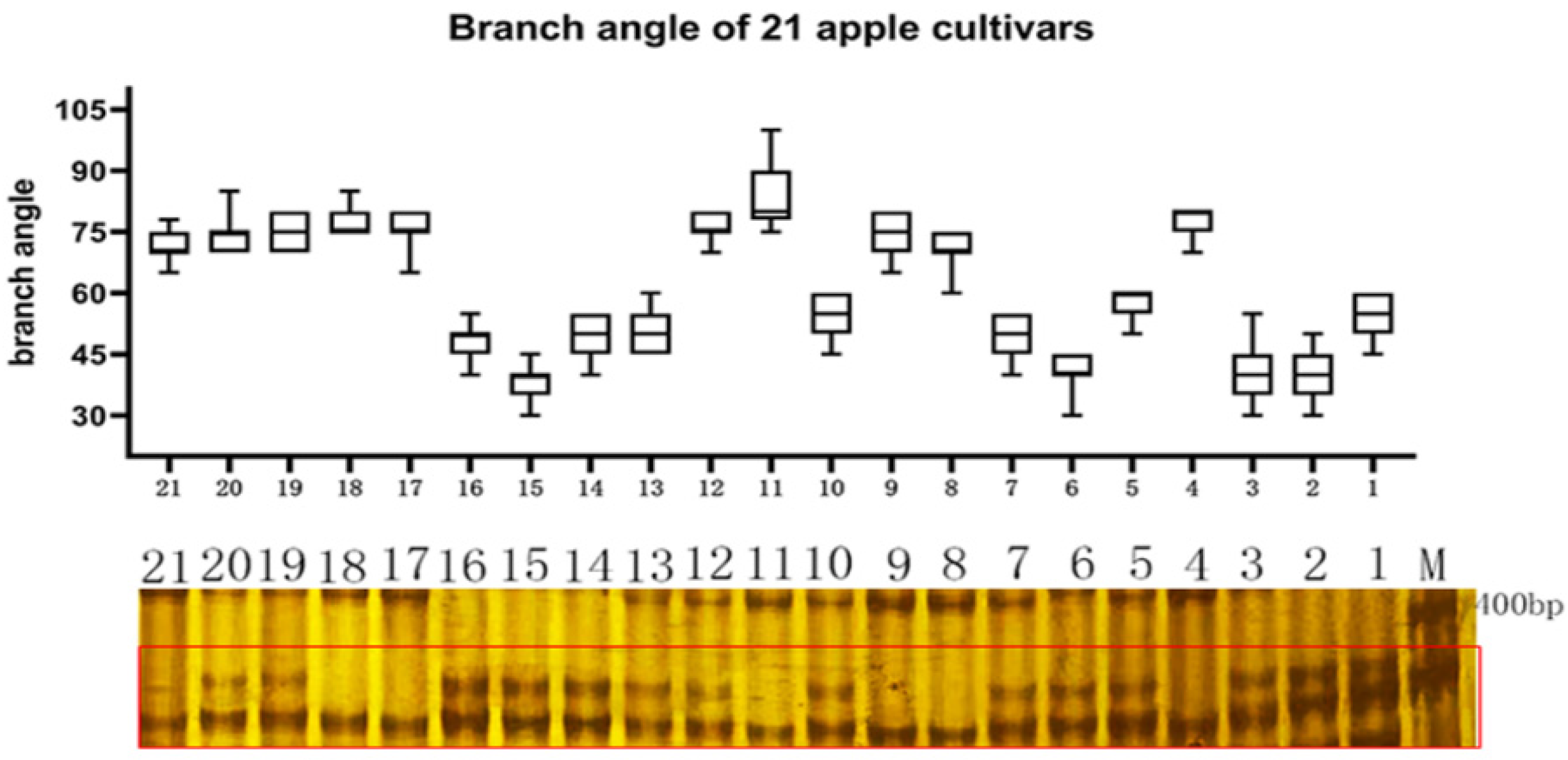 Ijms 23 01870 g007 Ijms 23 01870 g007