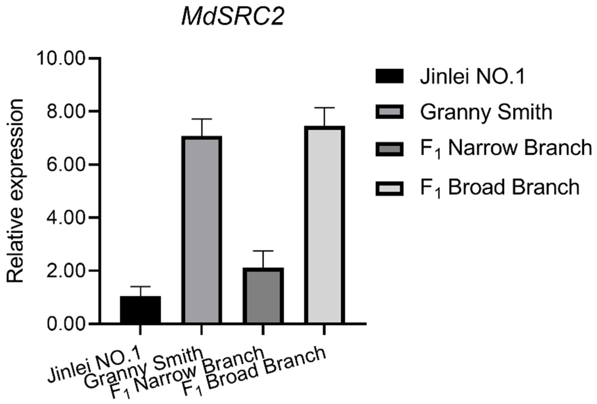 Ijms 23 01870 g010 Ijms 23 01870 g010