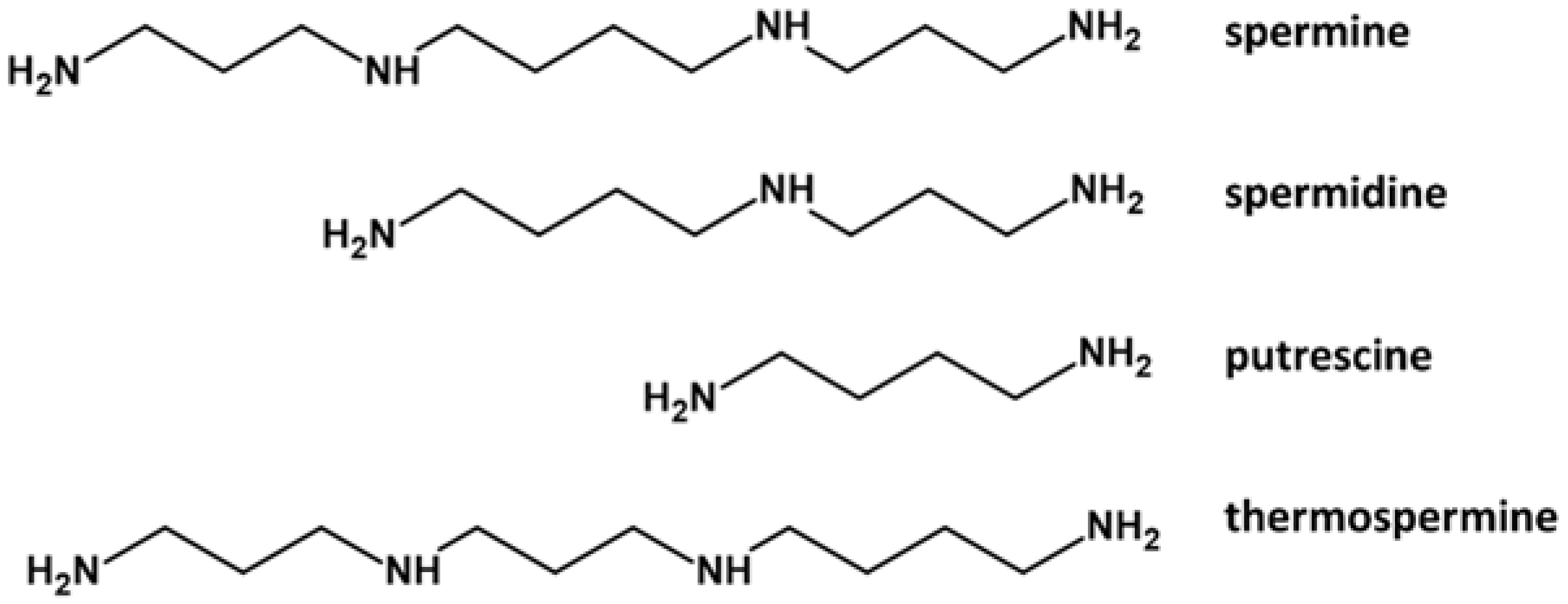 Ijms 23 01874 g001 Ijms 23 01874 g001