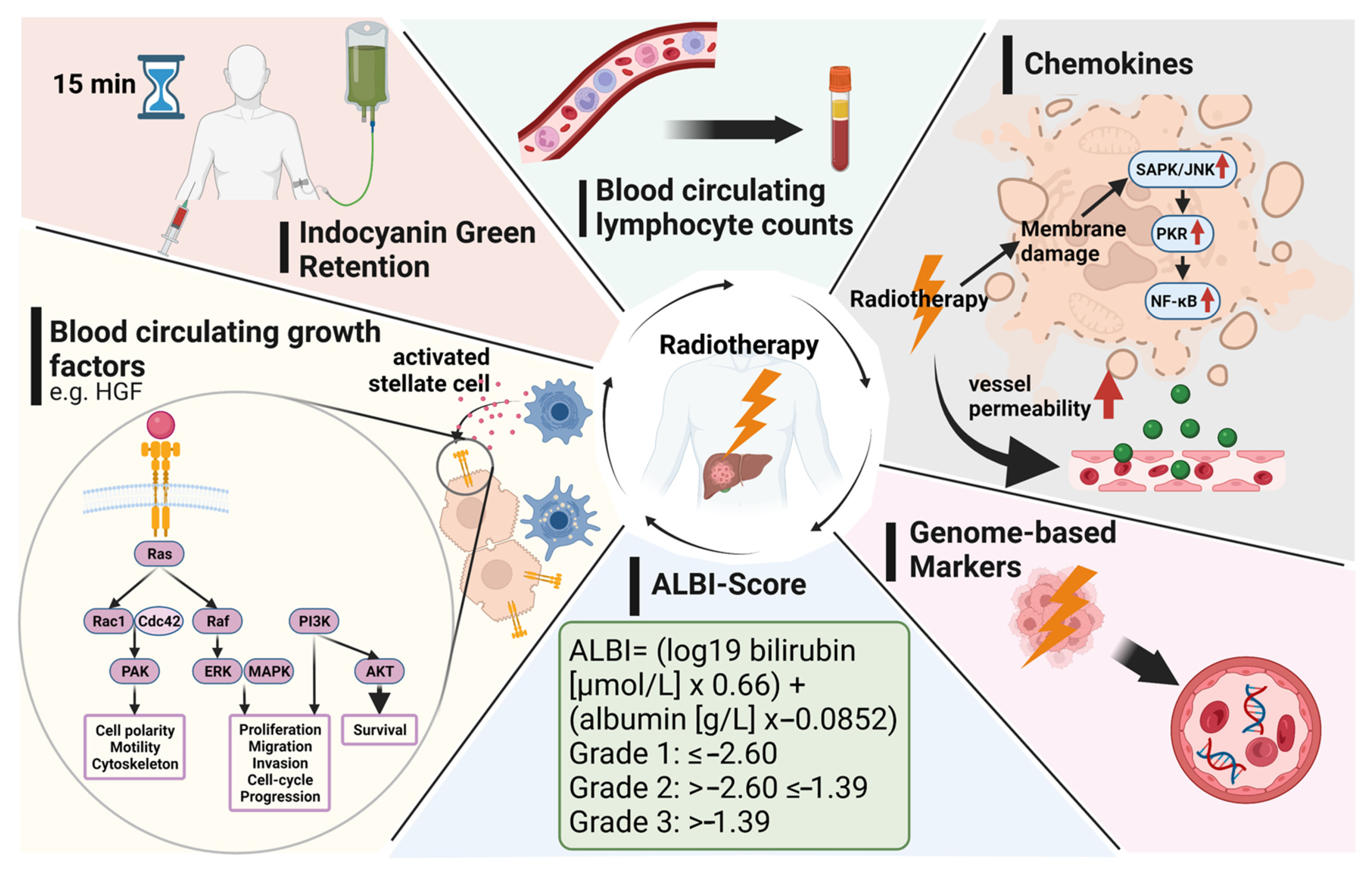 Radiation Therapy for Primary Liver Cancer