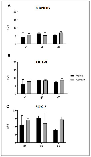 Transplantation of human endometrial perivascular cells with elevated CYR61  expression induces angiogenesis and promotes repair of a full-thickness  uterine injury in rat, Stem Cell Research & Therapy