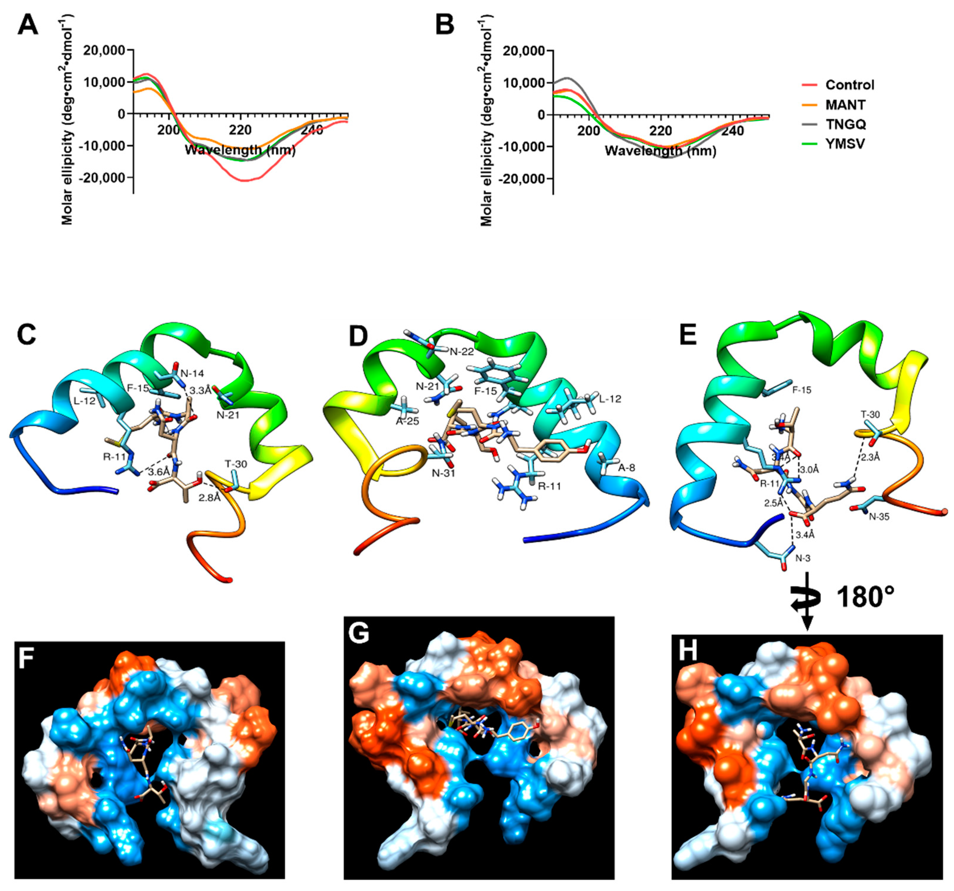 Ijms Free Full Text Disaggregation Of Islet Amyloid Polypeptide Fibrils As A Potential Anti Fibrillation Mechanism Of Tetrapeptide Tngq Html