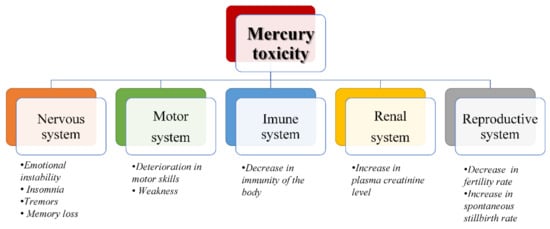 mercury poisoning treatment