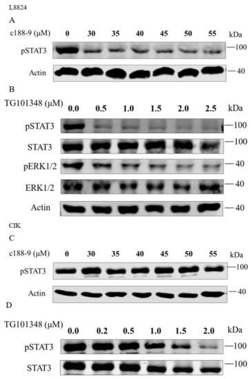 IJMS | Free Full-Text | Classical Signaling and Trans-Signaling 