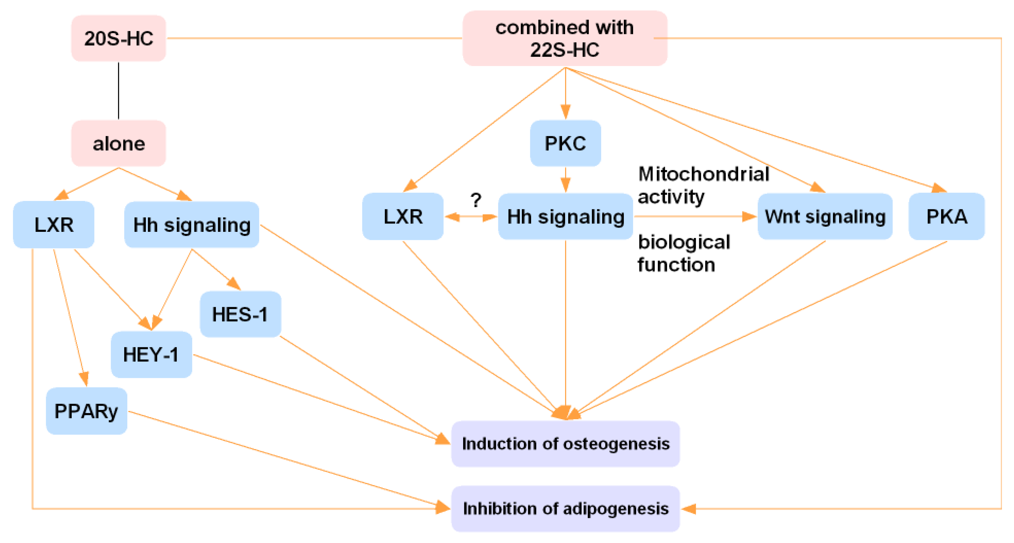 Ijms 23 02020 g002 Ijms 23 02020 g002