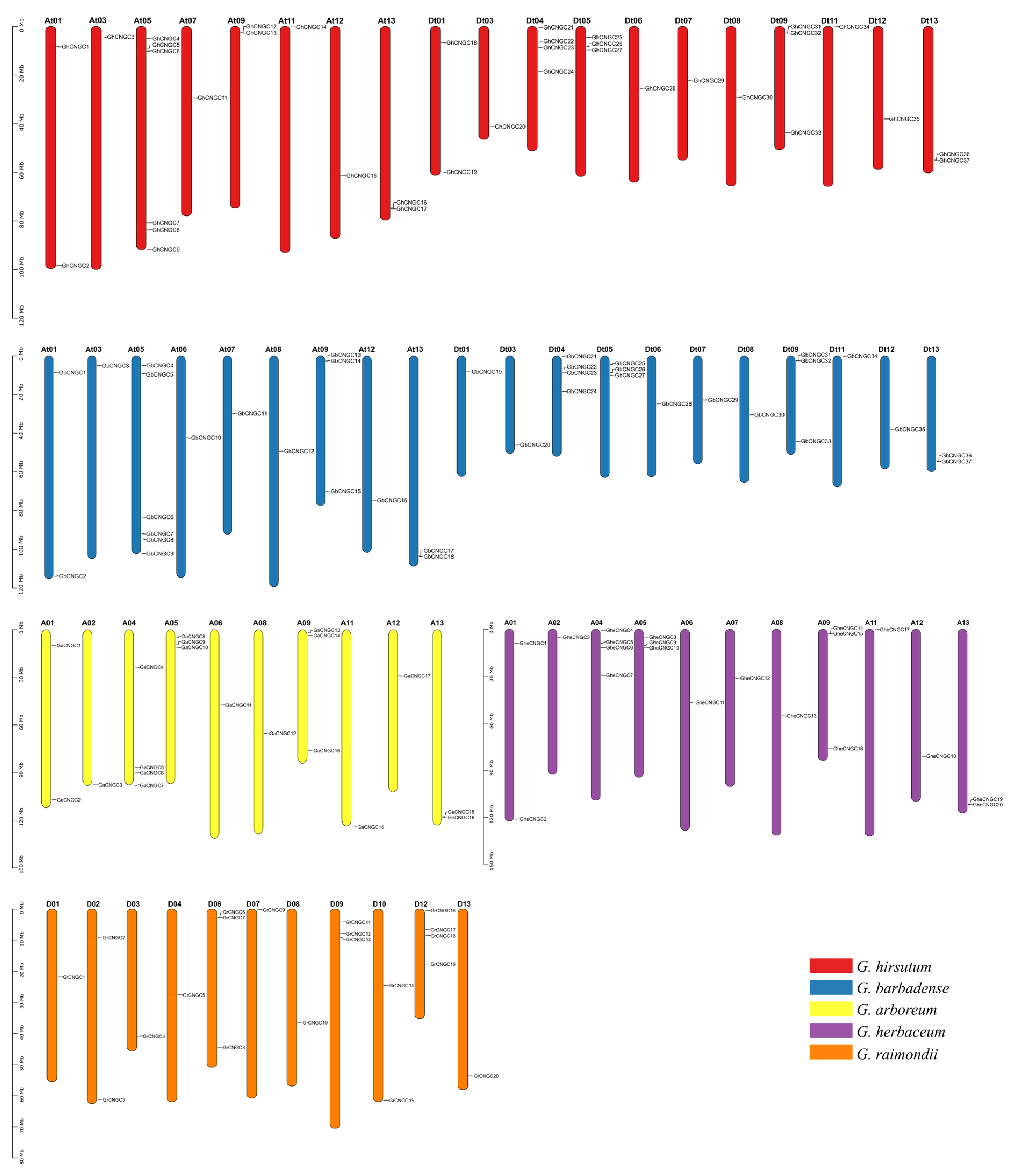 Ijms 23 02041 g002 Ijms 23 02041 g002