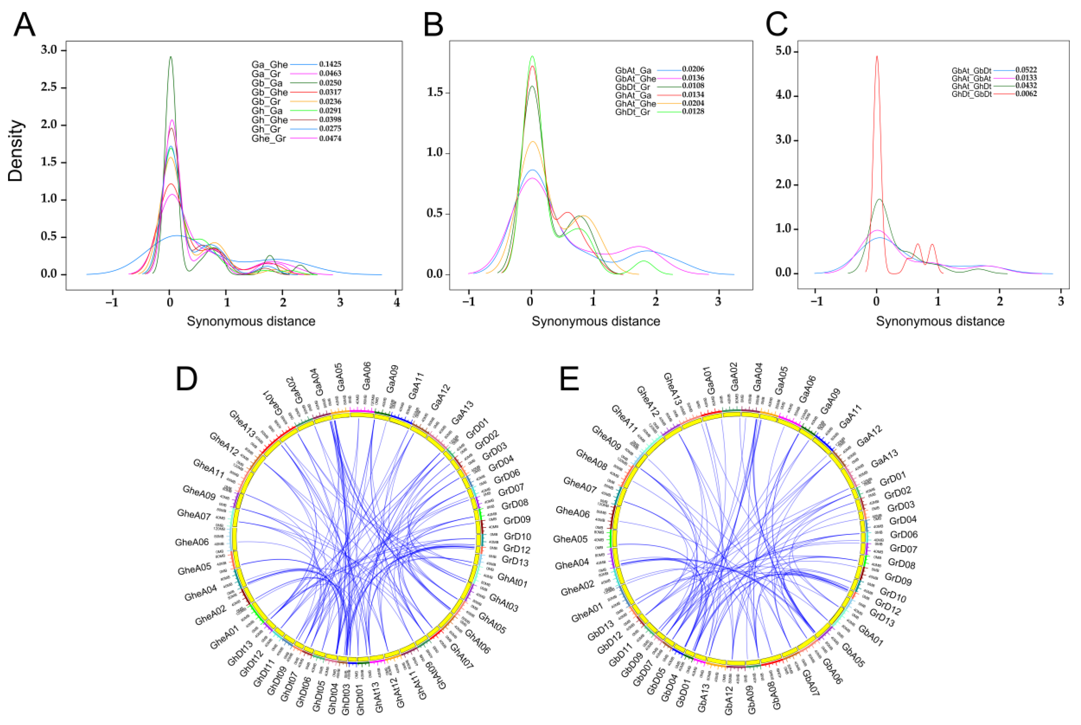 Ijms 23 02041 g003 Ijms 23 02041 g003
