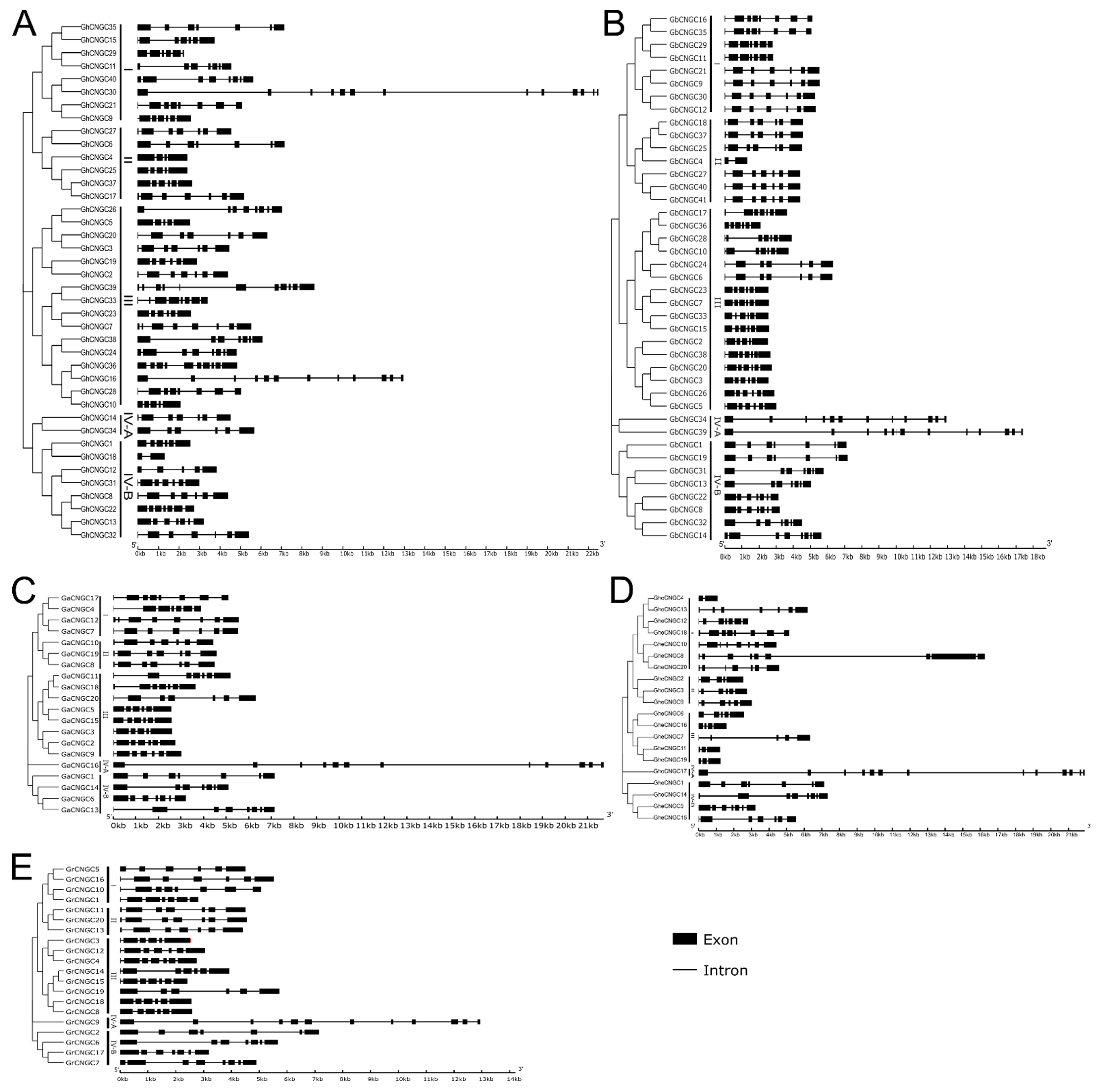Ijms 23 02041 g004 Ijms 23 02041 g004
