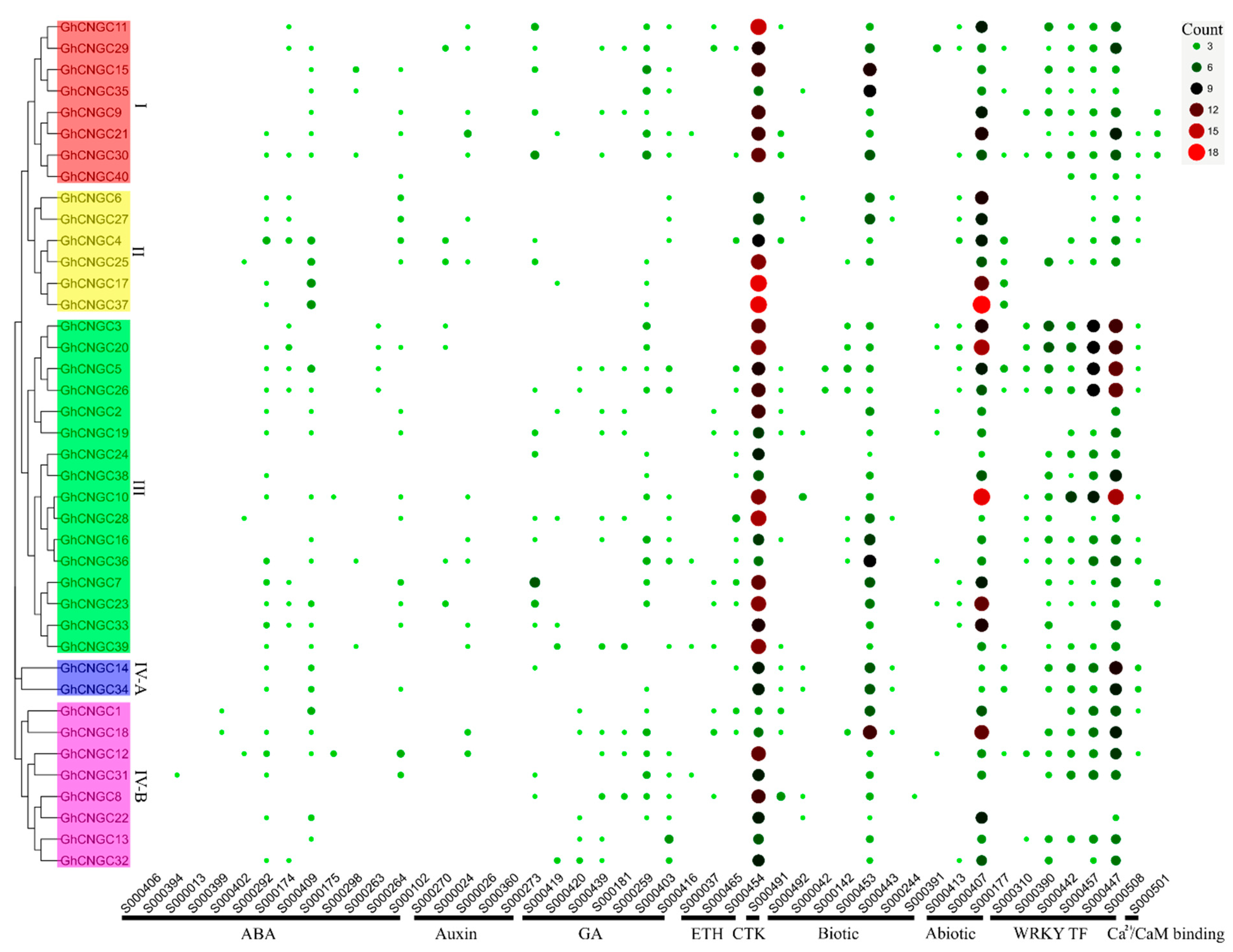 Ijms 23 02041 g005 Ijms 23 02041 g005