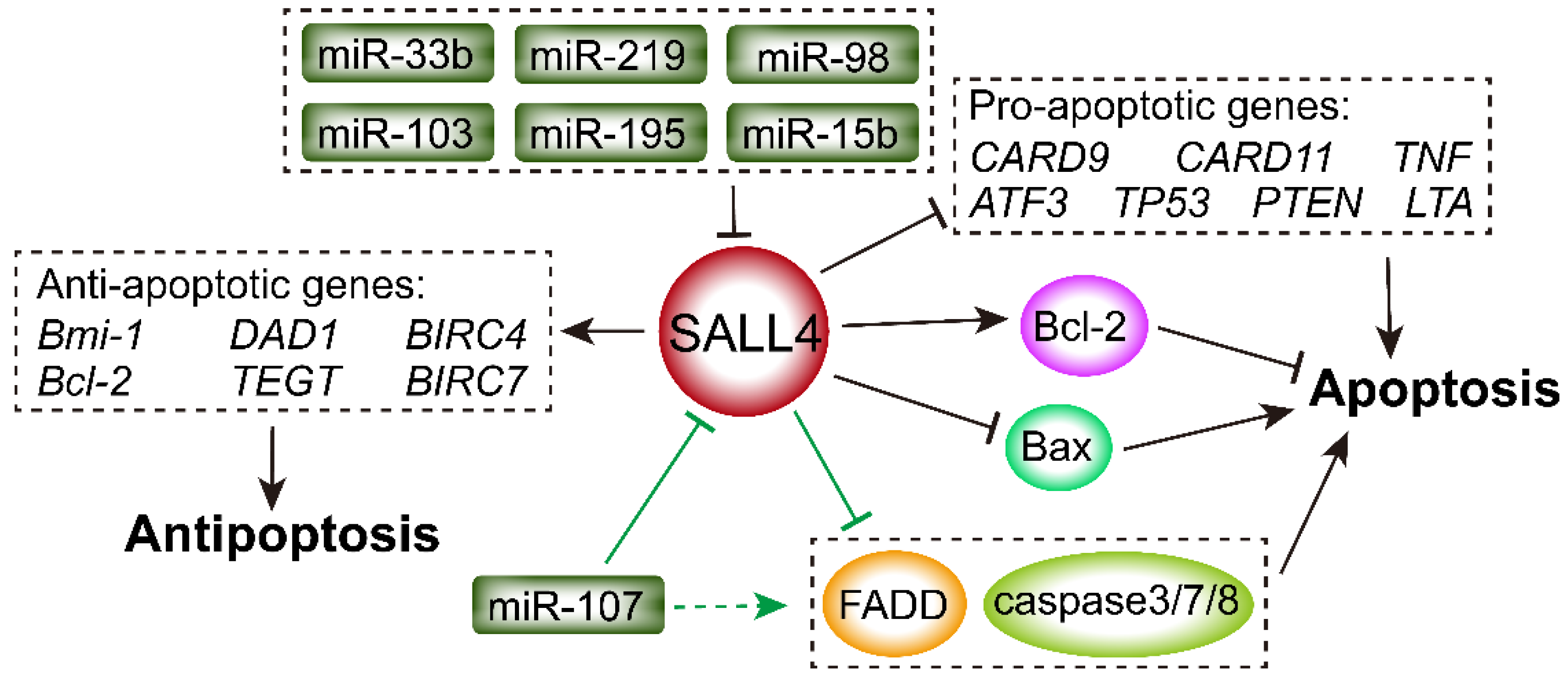 Ijms 23 02053 g004 Ijms 23 02053 g004