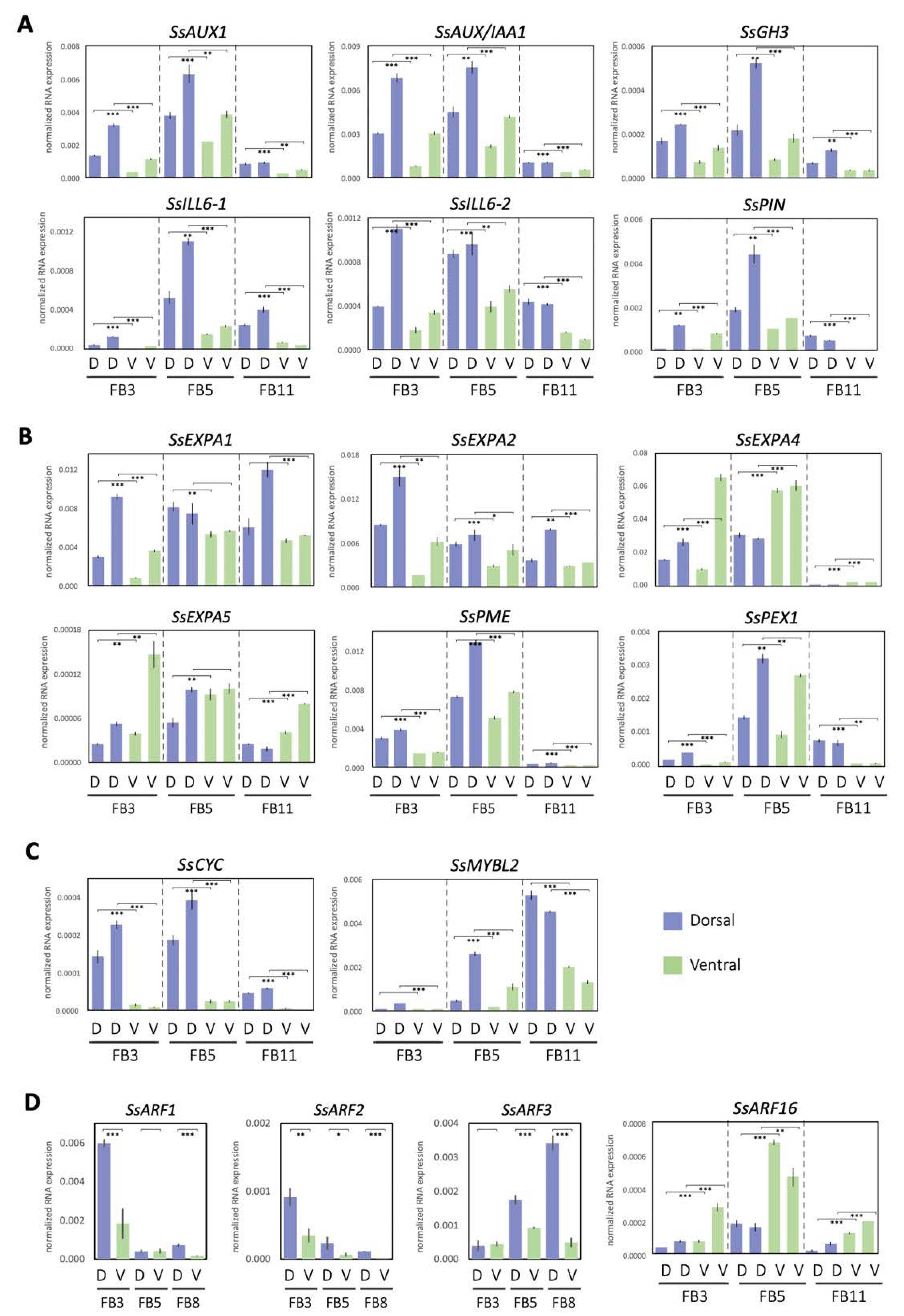 Ijms 23 02073 g005 Ijms 23 02073 g005