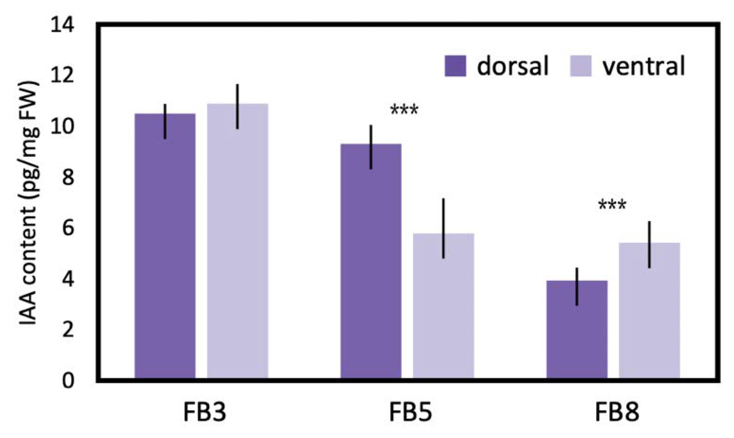 Ijms 23 02073 g008 Ijms 23 02073 g008