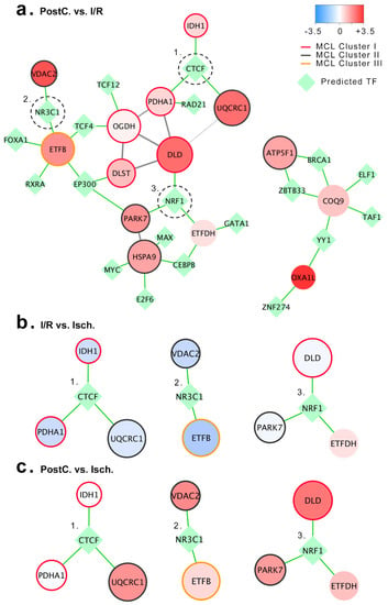 IJMS | Free Full-Text | Network-Assisted Systems Biology Analysis 