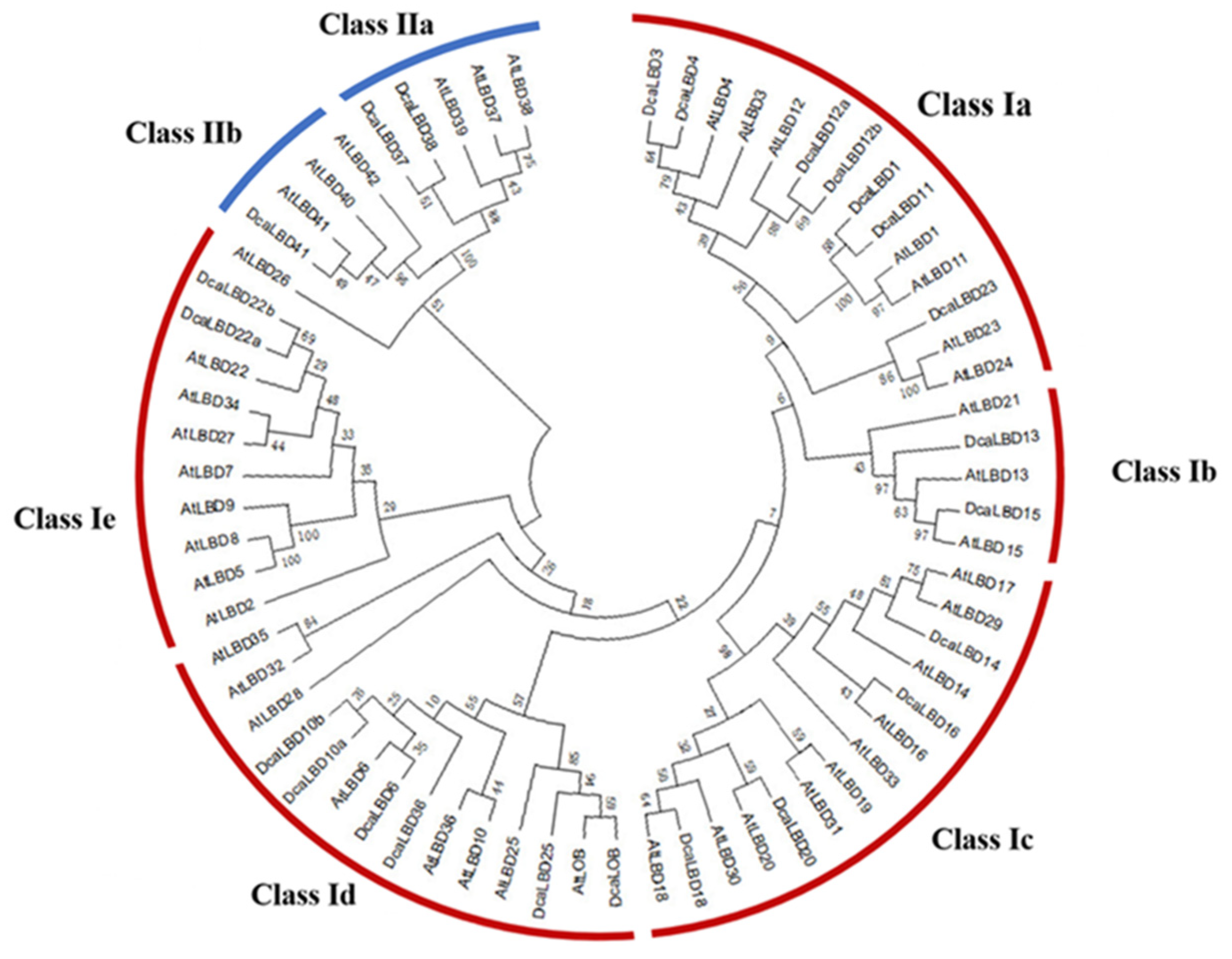 Ijms 23 02089 g001 Ijms 23 02089 g001