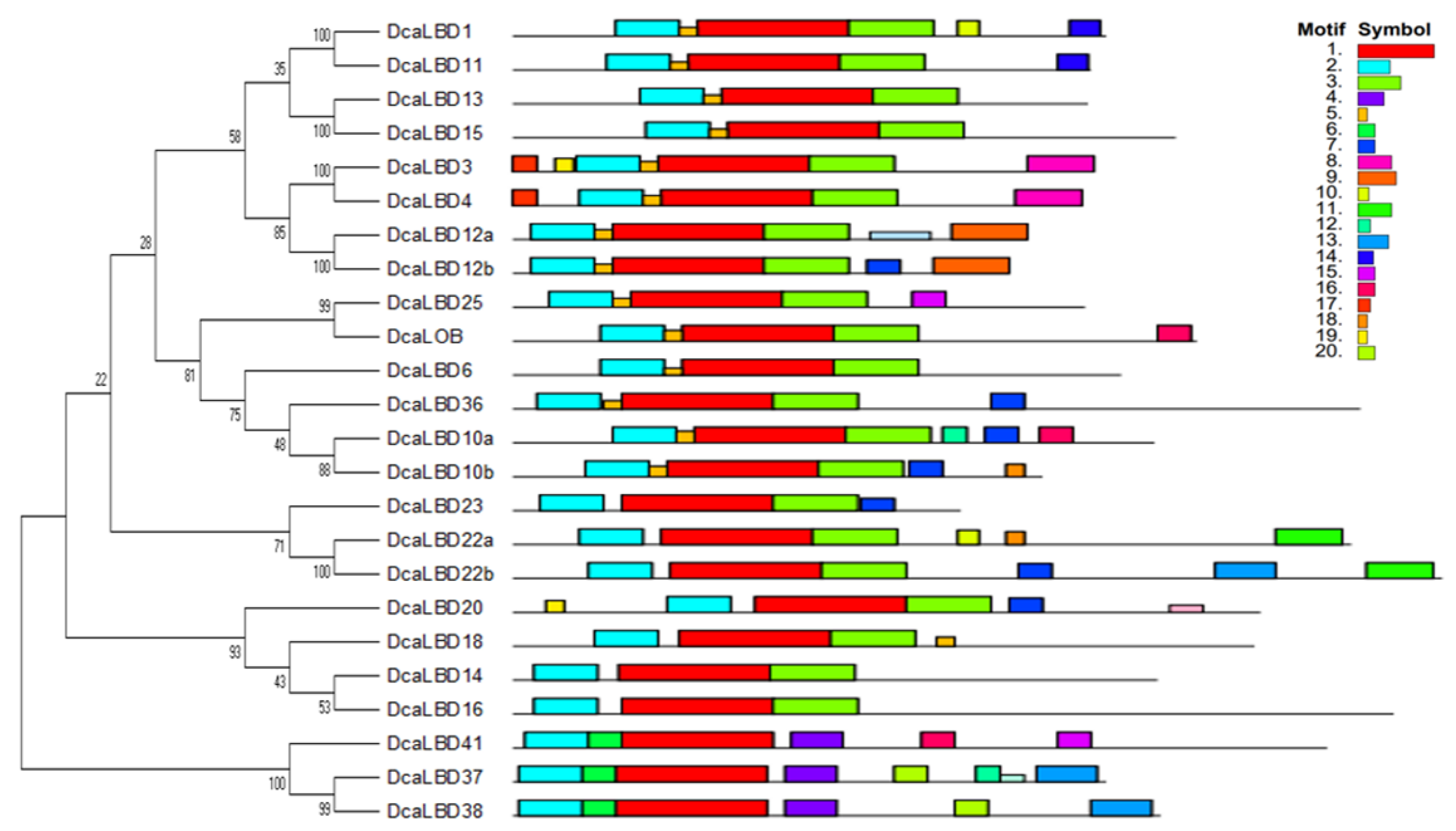 Ijms 23 02089 g002 Ijms 23 02089 g002