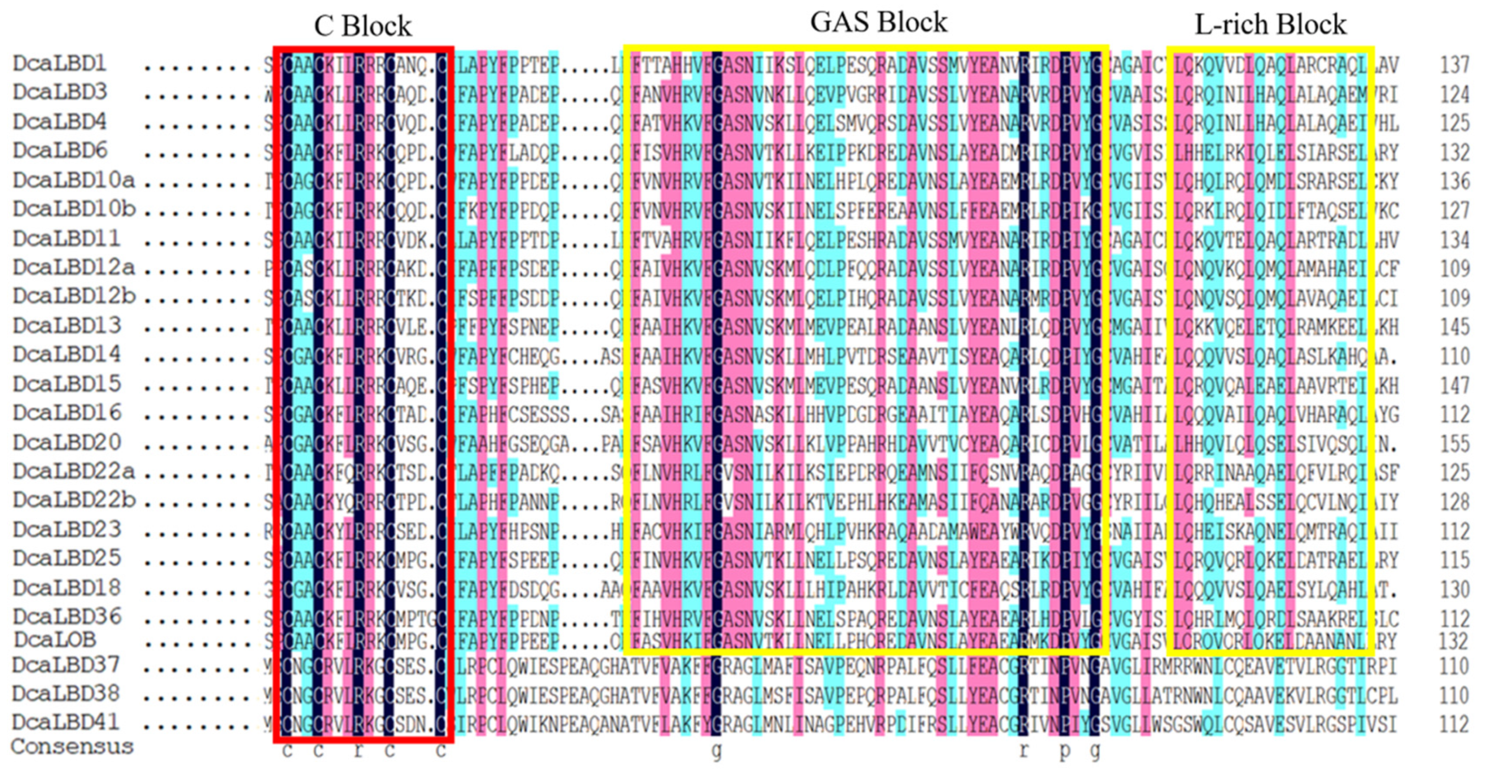 Ijms 23 02089 g003 Ijms 23 02089 g003