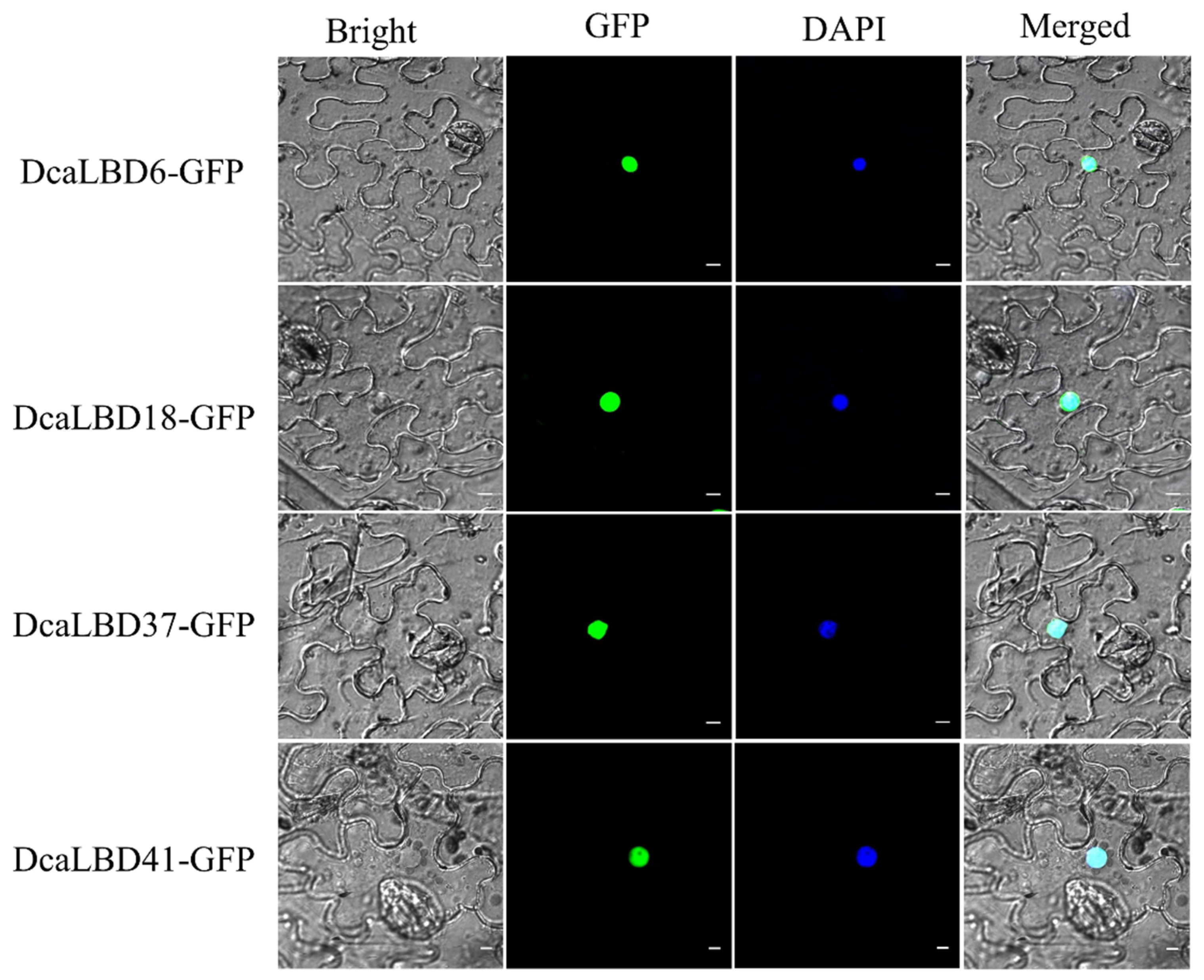 Ijms 23 02089 g004 Ijms 23 02089 g004