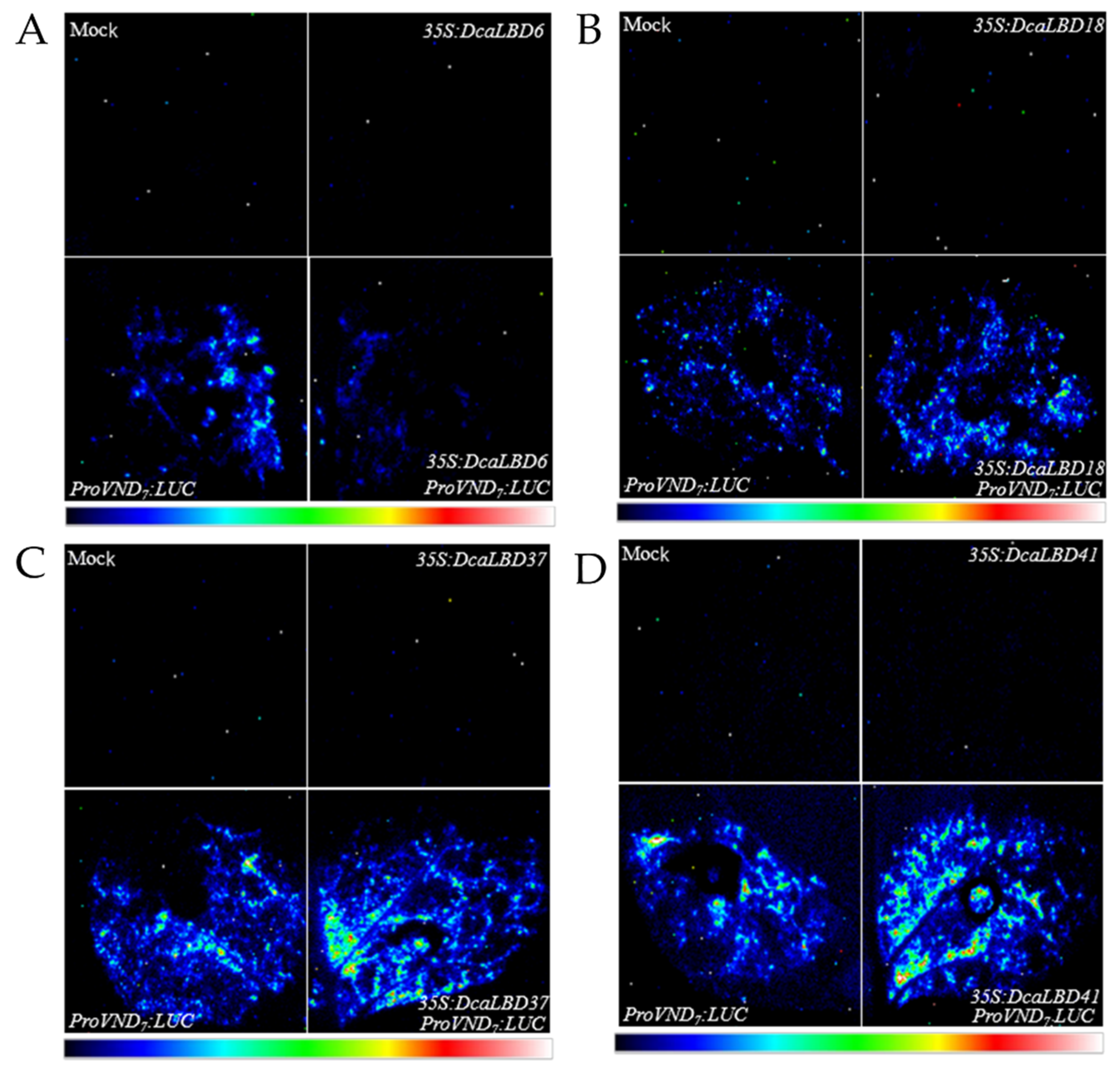 Ijms 23 02089 g005 Ijms 23 02089 g005