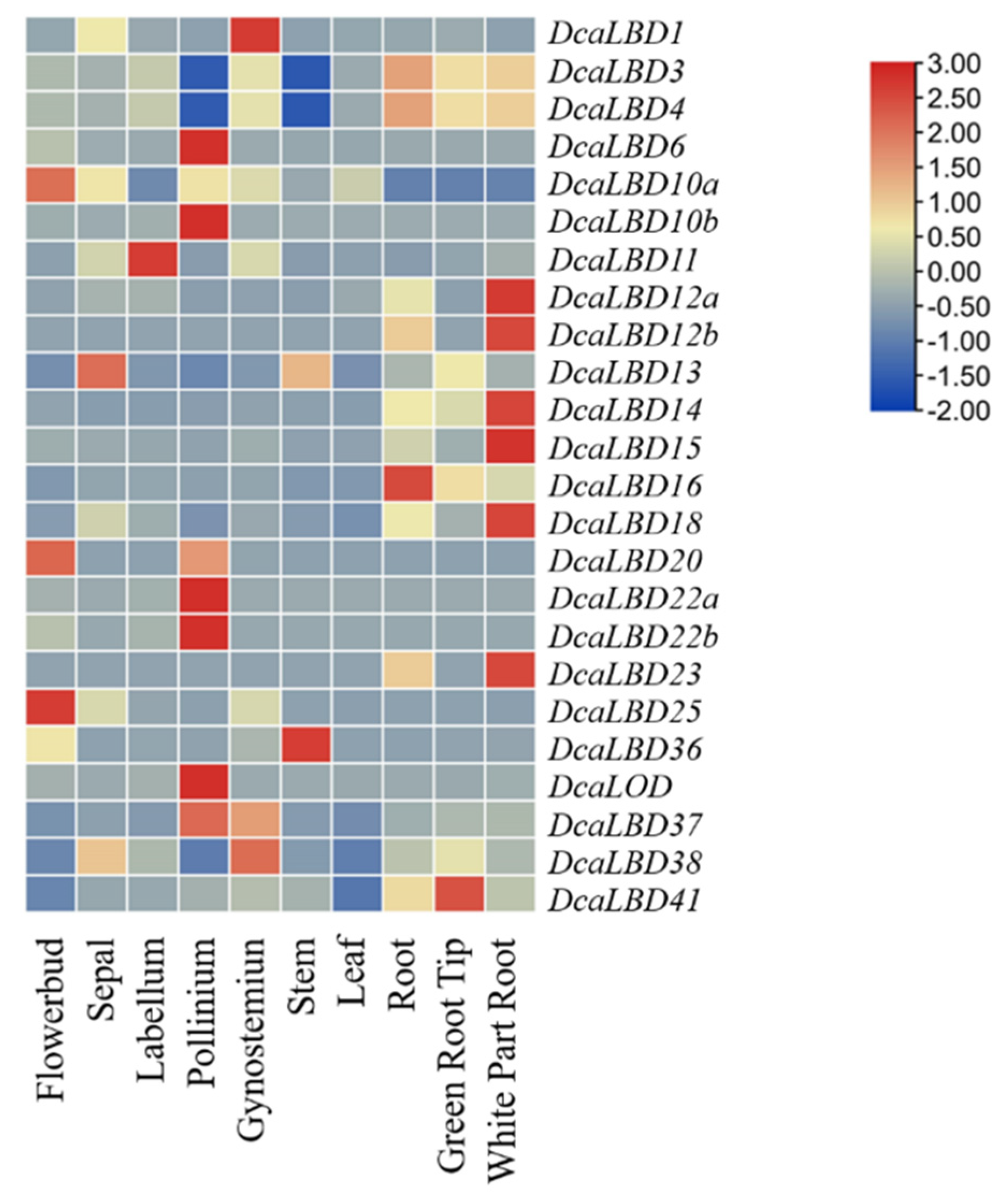 Ijms 23 02089 g007 Ijms 23 02089 g007