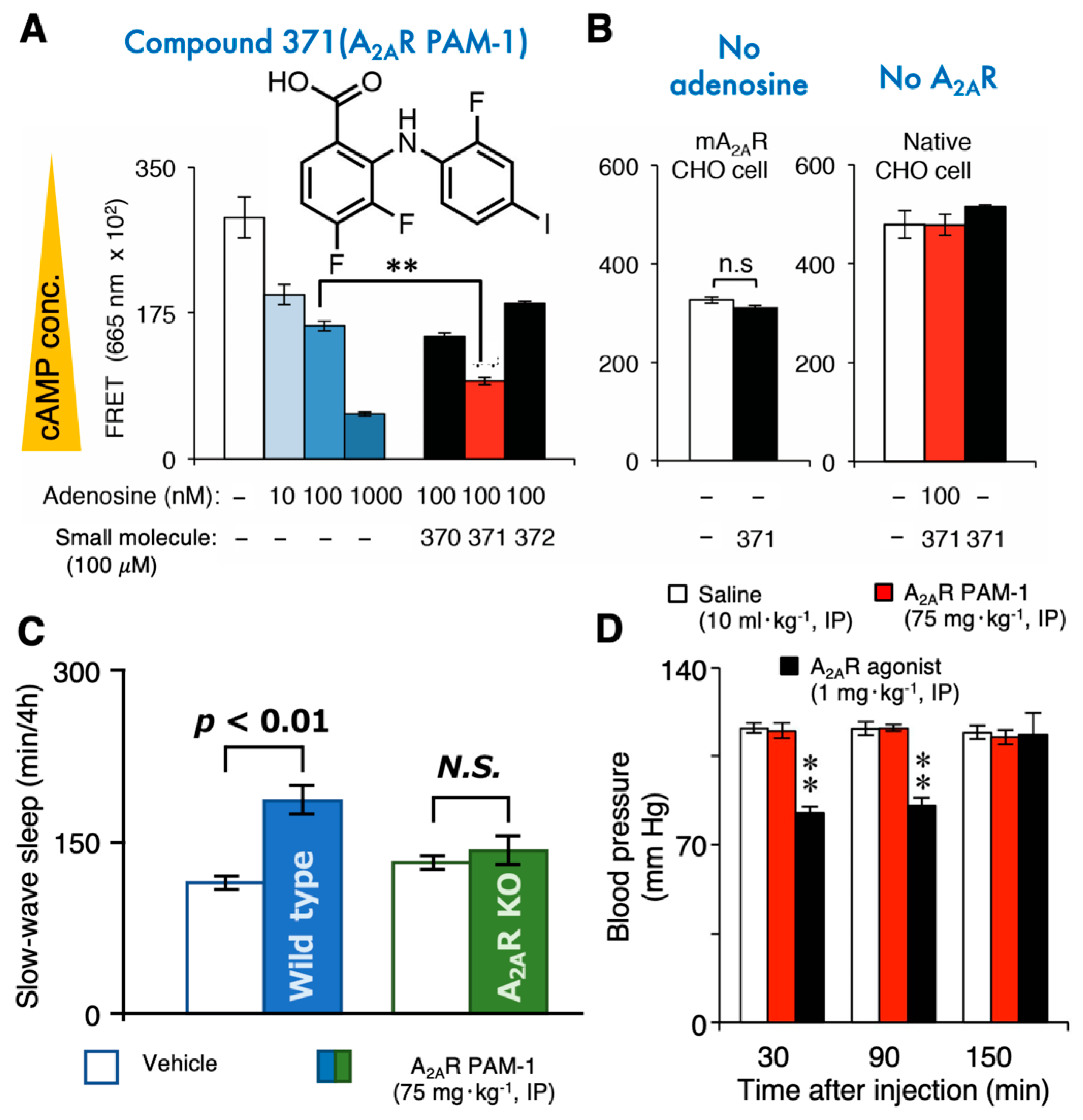 Ijms 23 02101 g003 Ijms 23 02101 g003