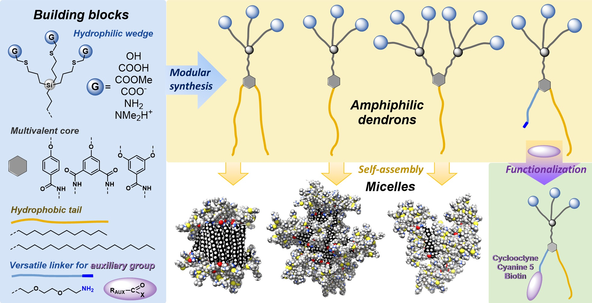 IJMS | Free Full-Text | Adaptive Synthesis of Functional Amphiphilic  Dendrons as a Novel Approach to Artificial Supramolecular Objects | HTML