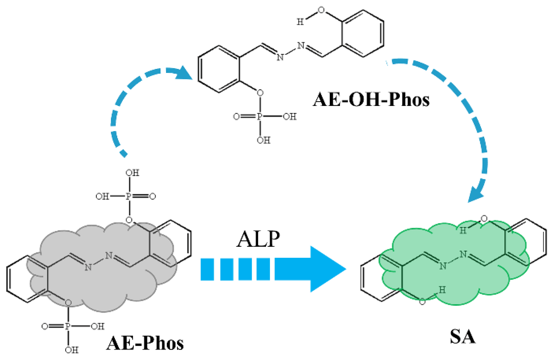 Ijms 23 02132 sch001