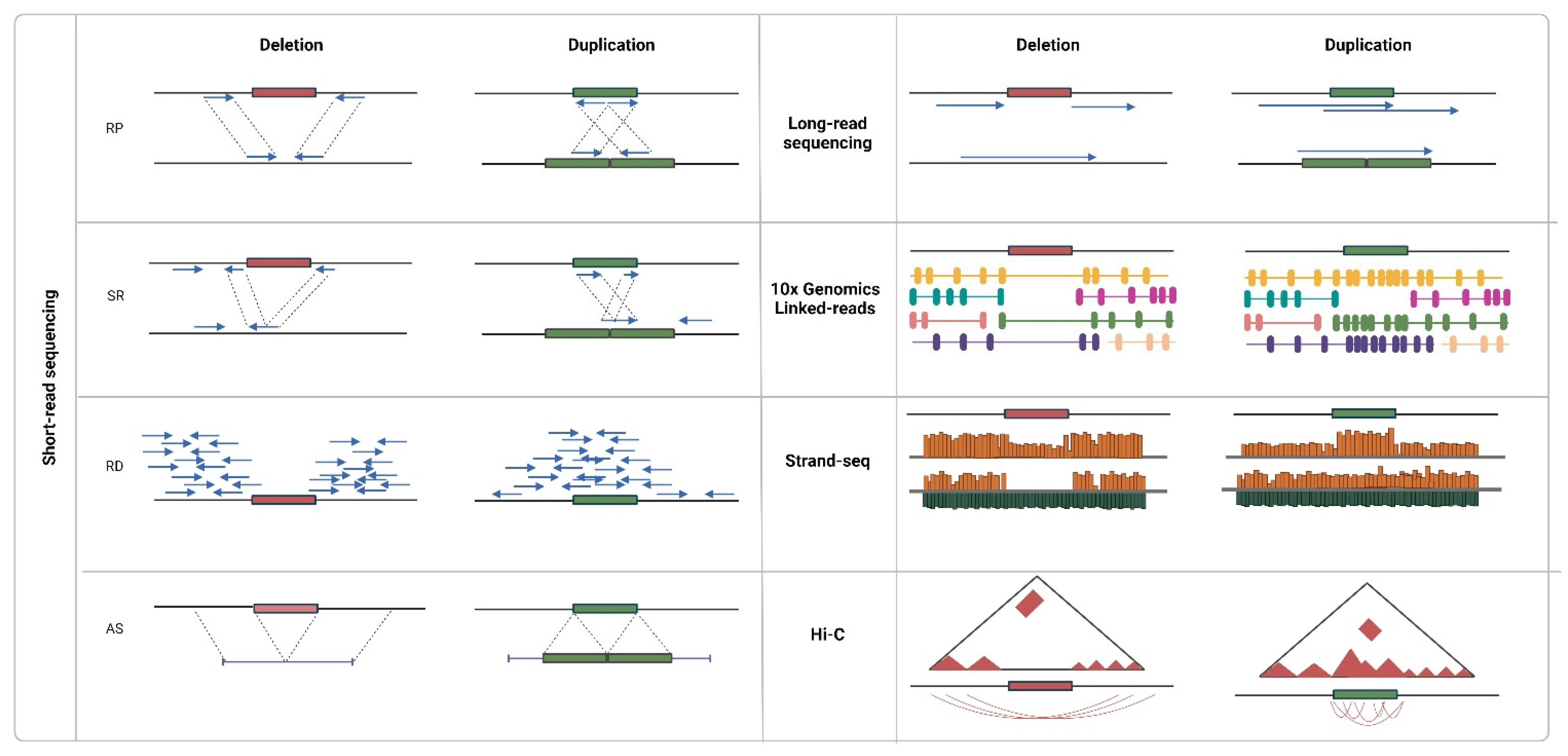 Ijms 23 02143 g003 Ijms 23 02143 g003