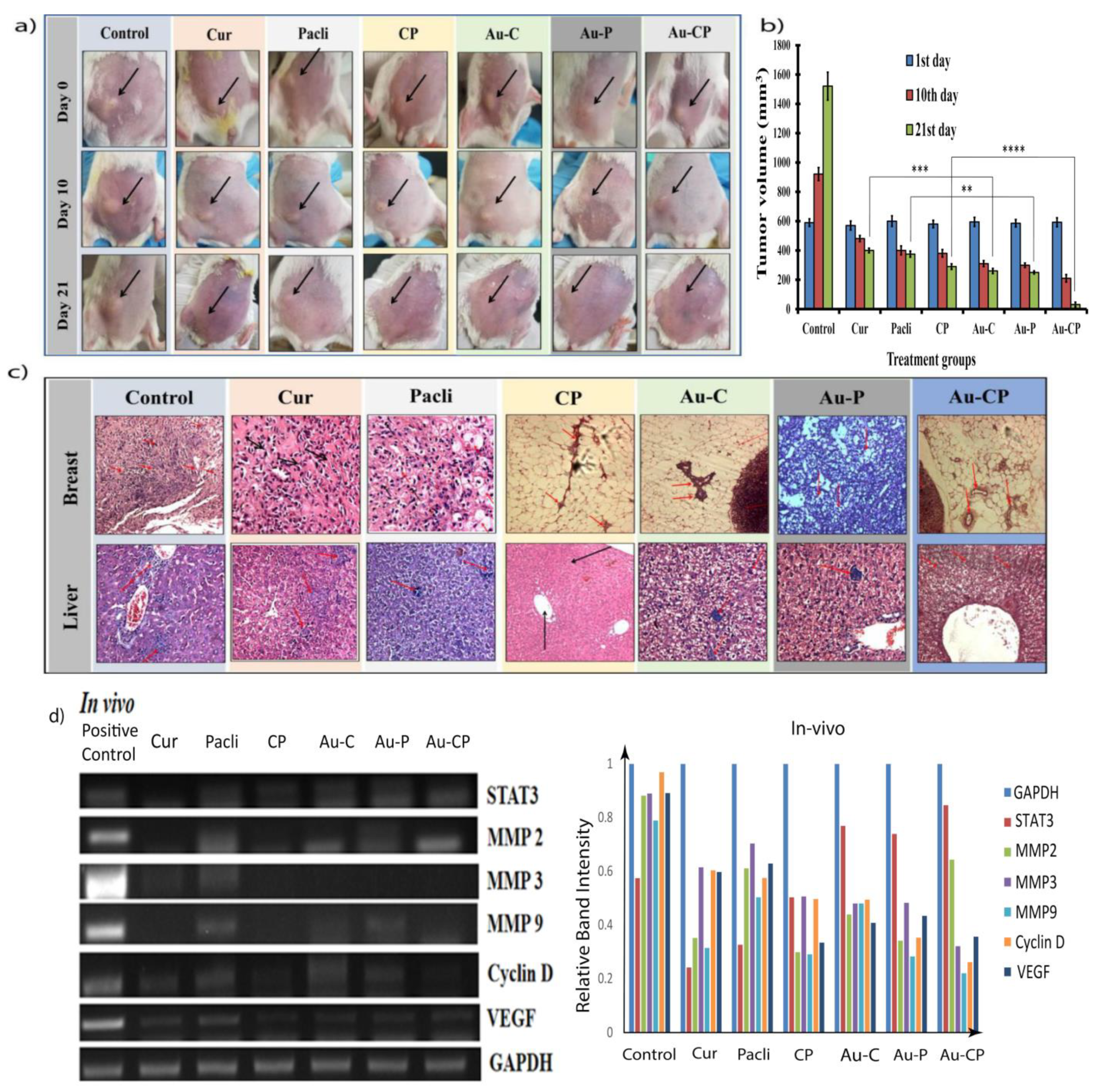 Ijms 23 02150 g005