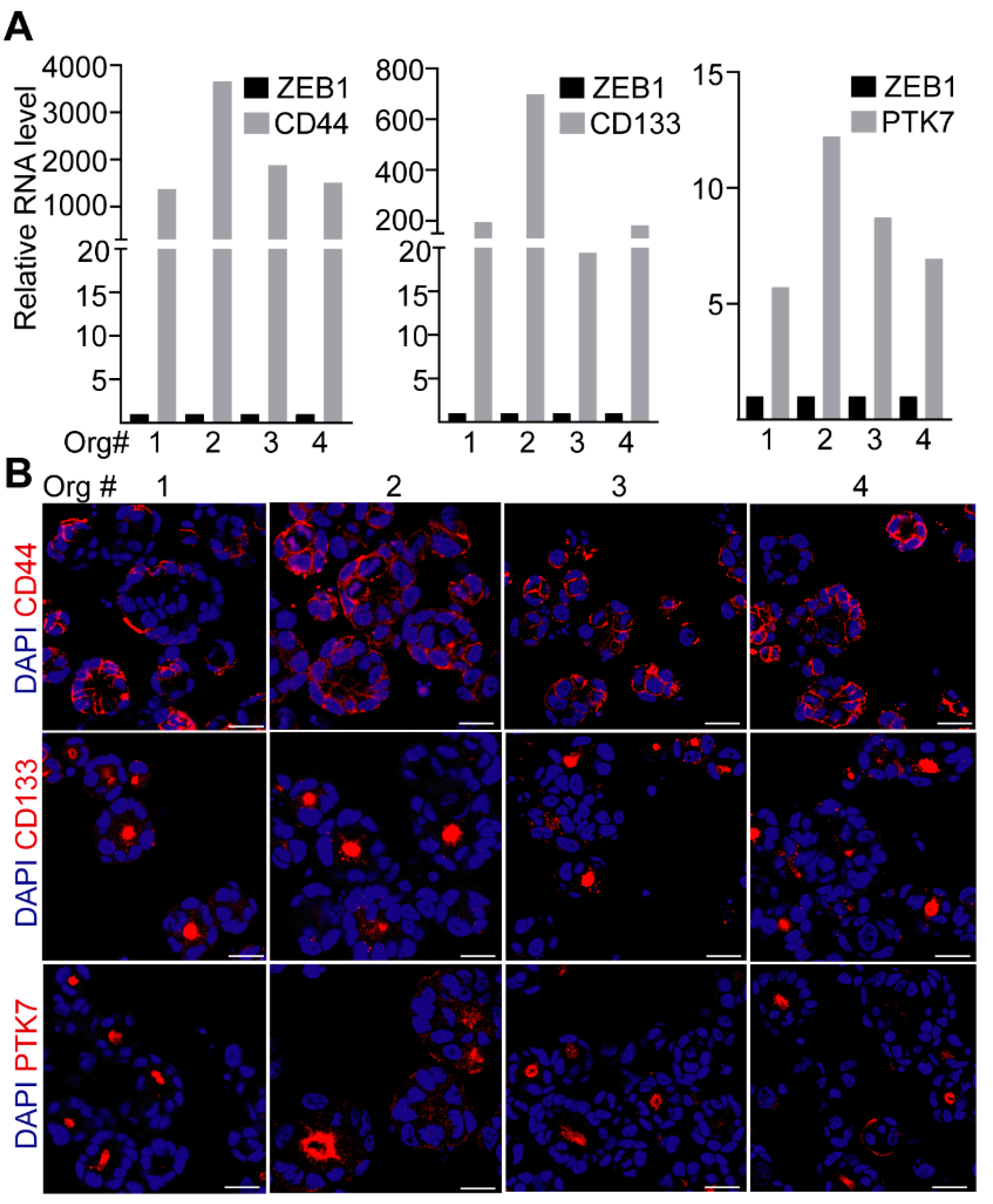 Ijms 23 02180 g001 Ijms 23 02180 g001