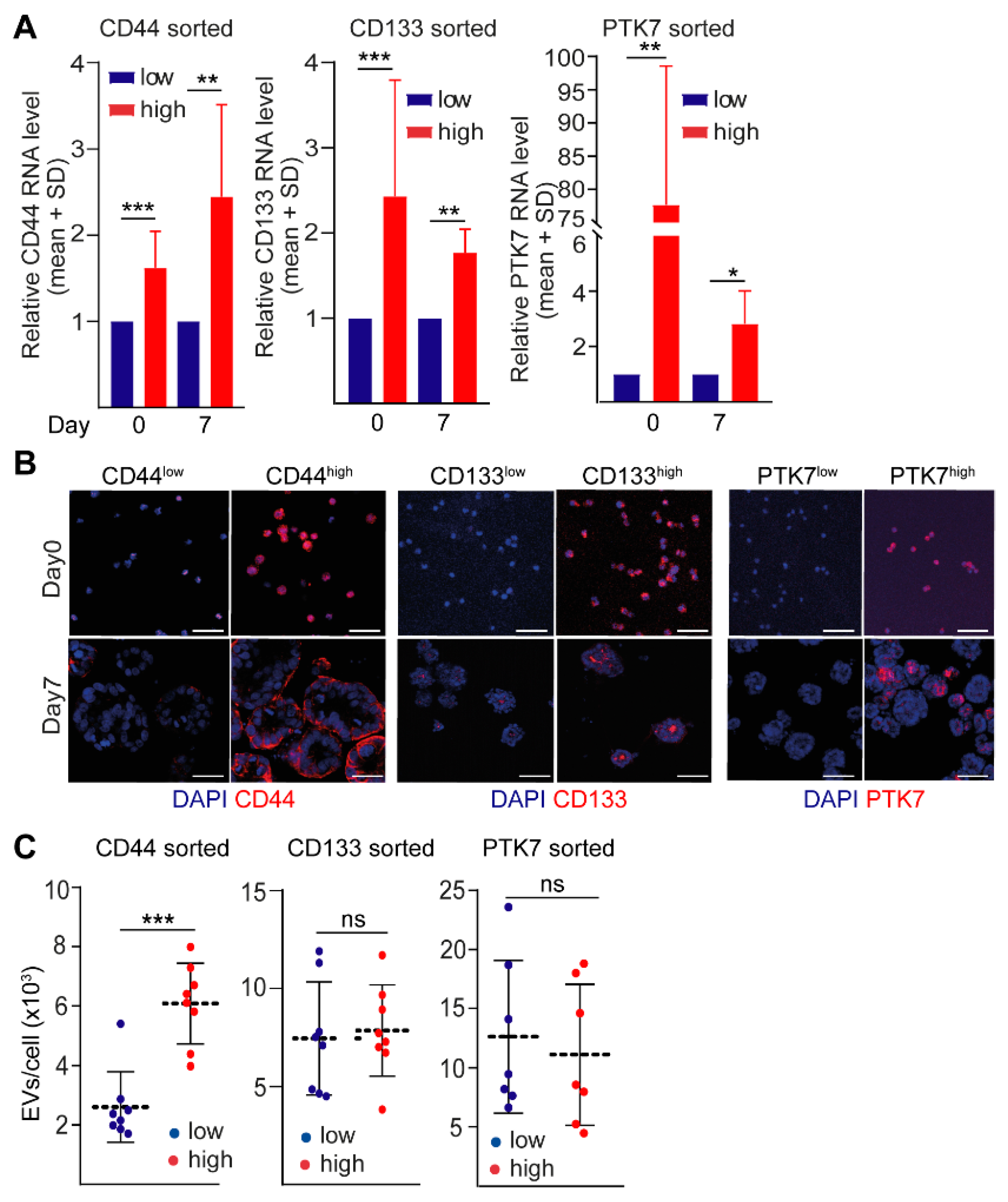 Ijms 23 02180 g003 Ijms 23 02180 g003