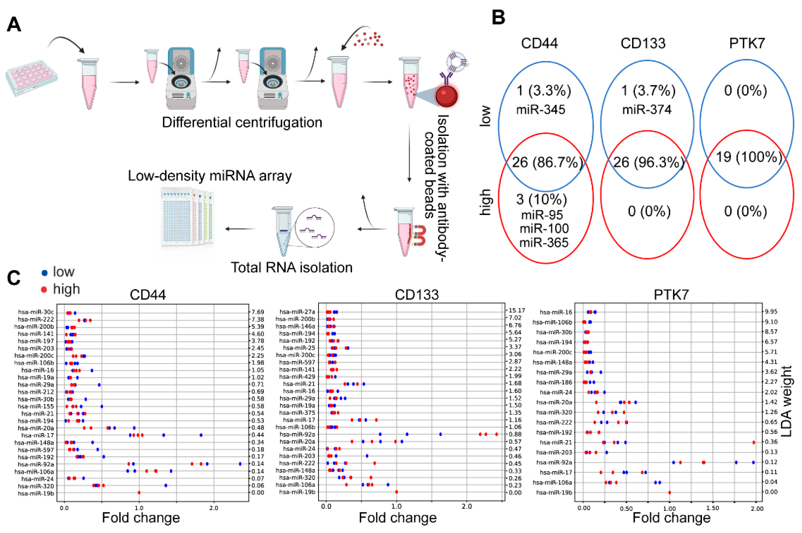 Ijms 23 02180 g004 Ijms 23 02180 g004