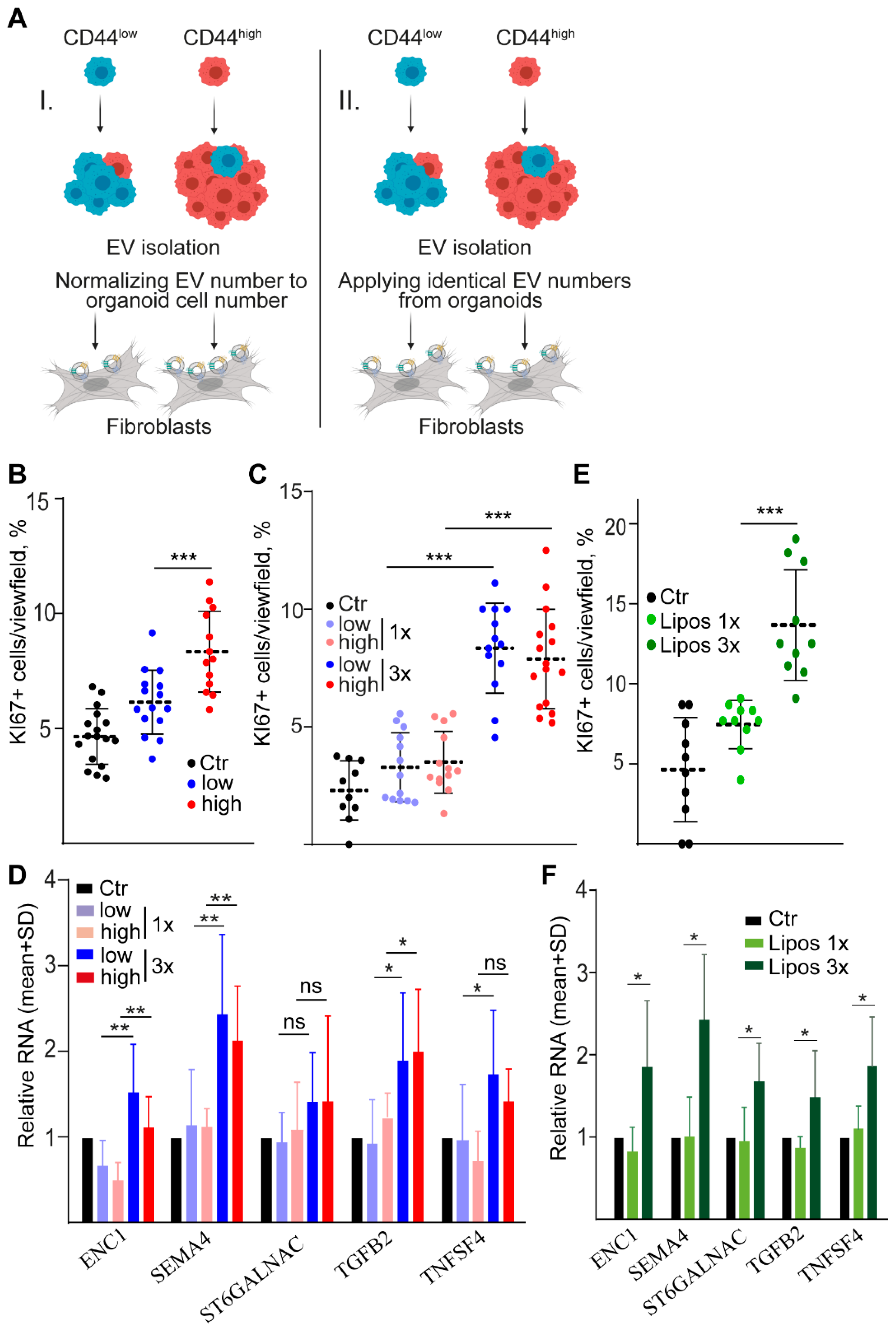 Ijms 23 02180 g005 Ijms 23 02180 g005