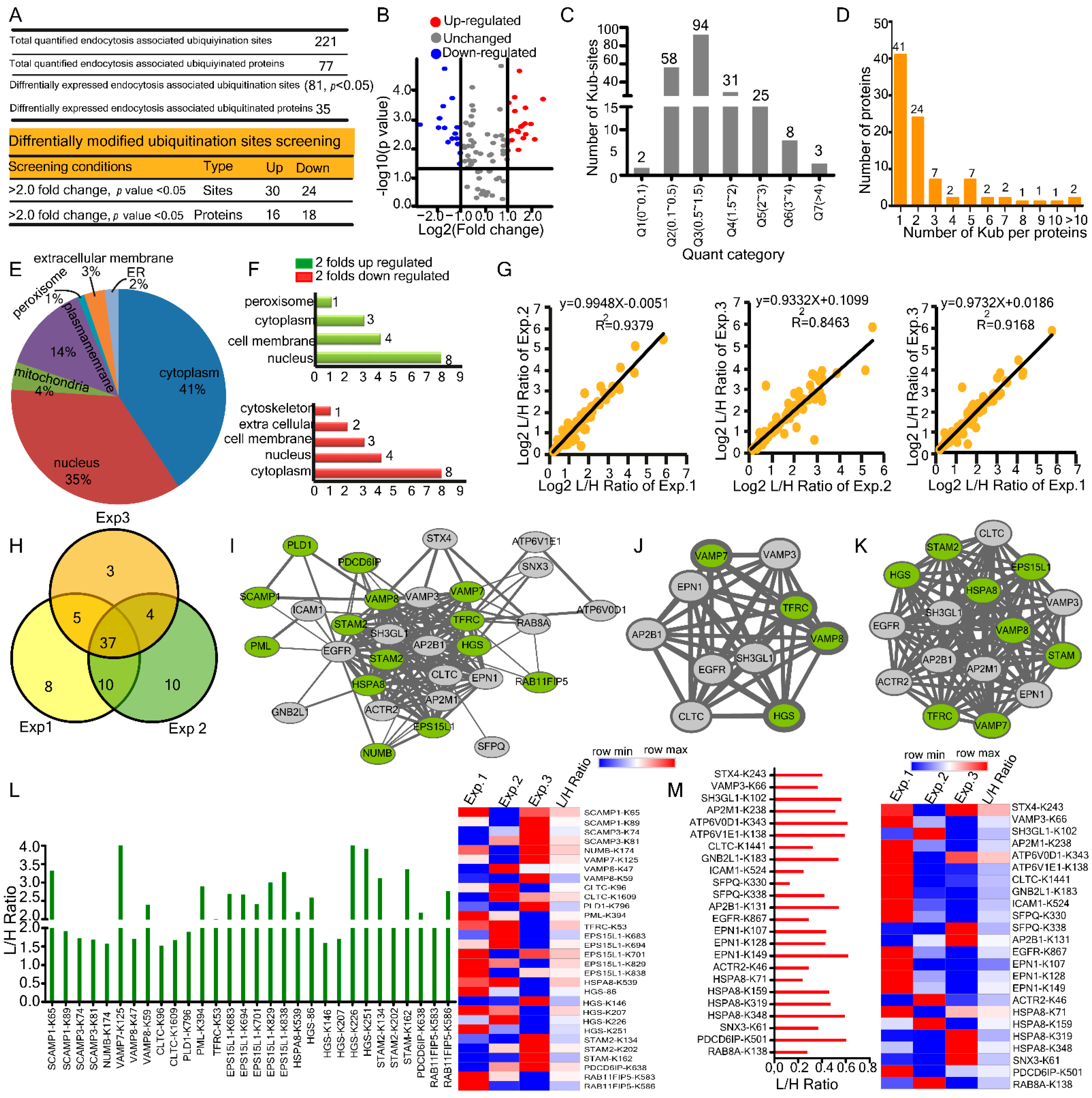 Ijms 23 02211 g003 Ijms 23 02211 g003