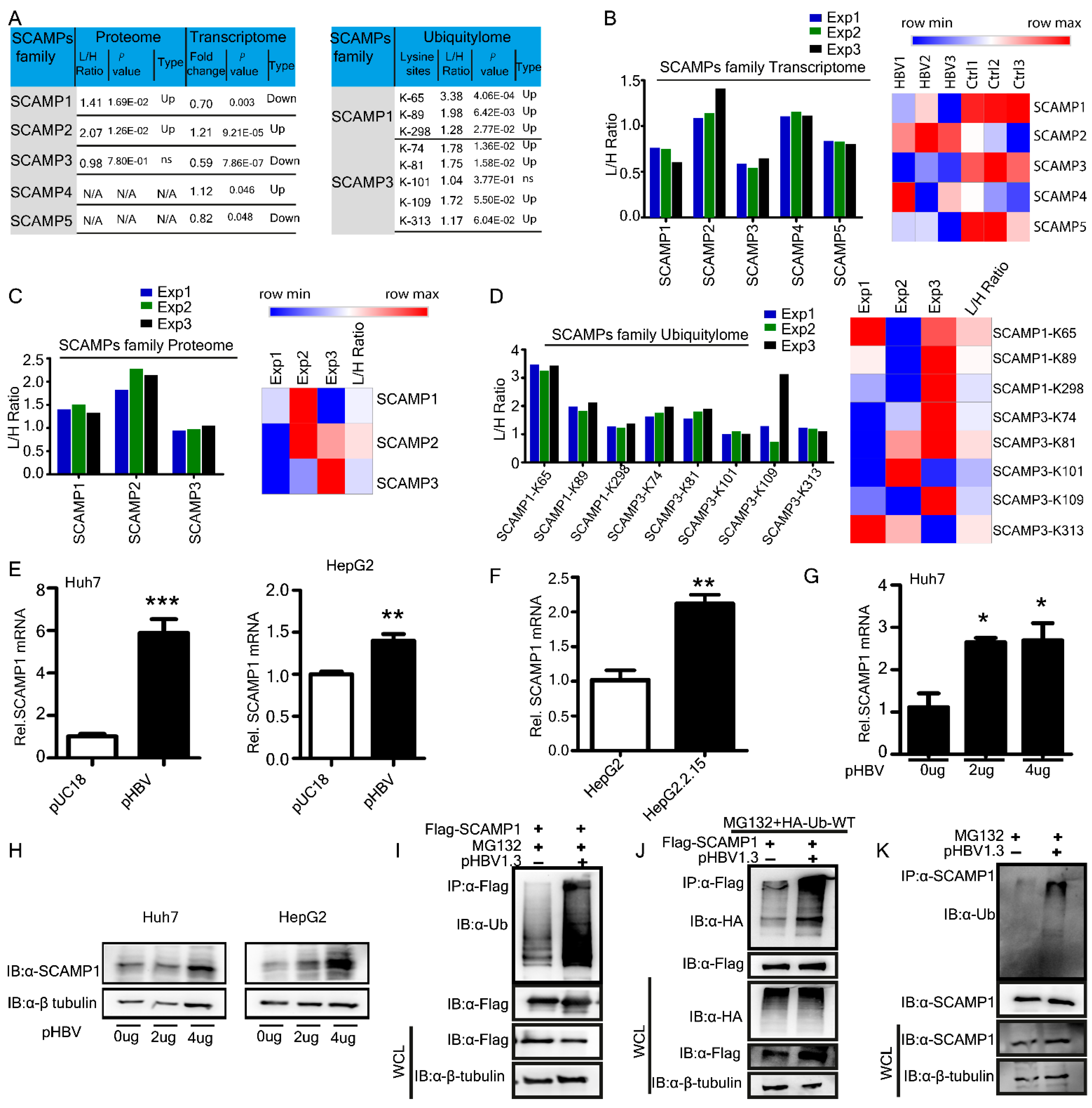 Ijms 23 02211 g005 Ijms 23 02211 g005