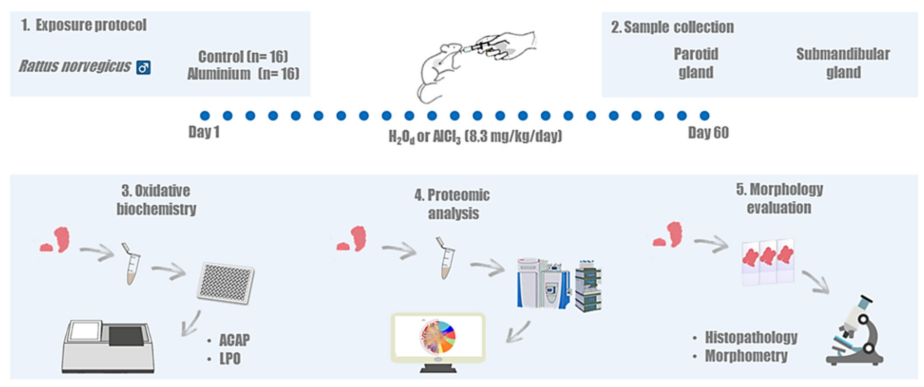 Ijms 23 02251 g005 Ijms 23 02251 g005