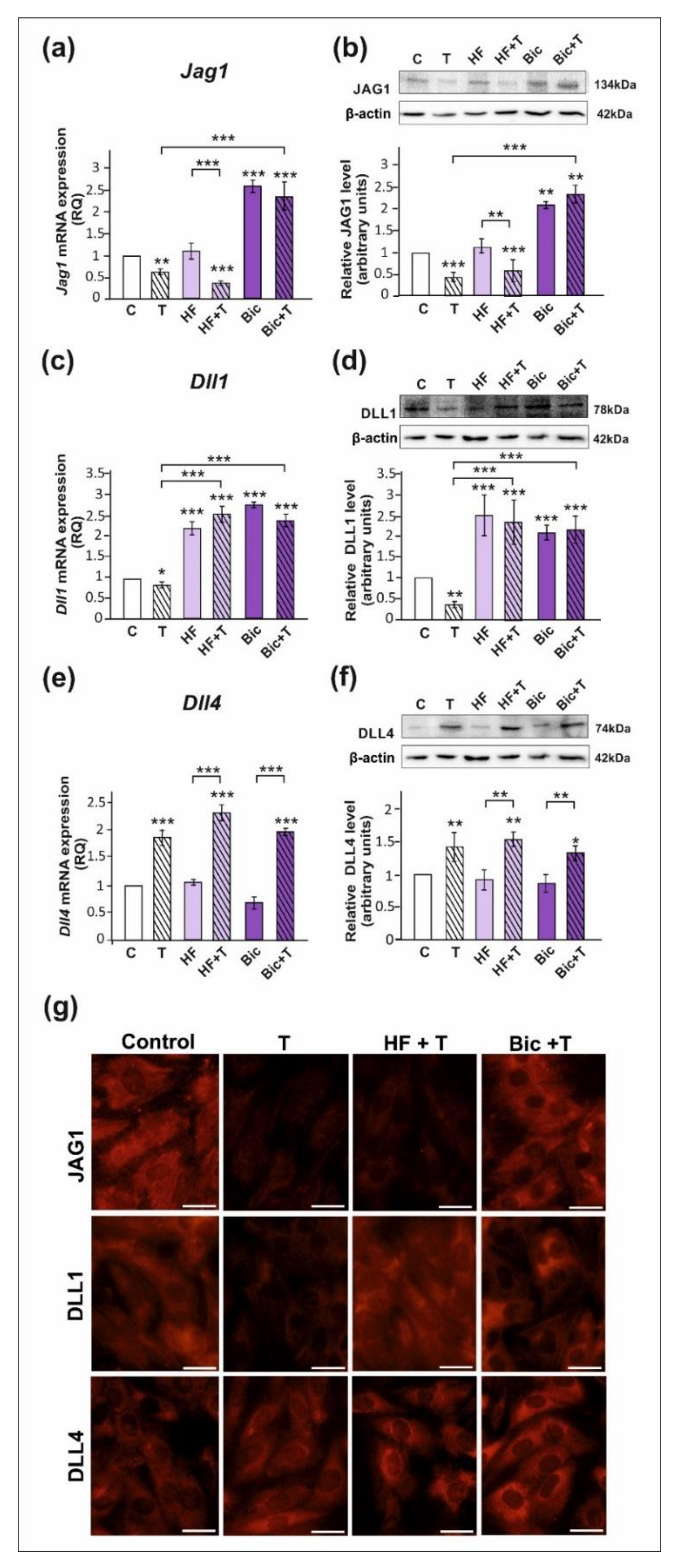 Ijms 23 02284 g001 Ijms 23 02284 g001