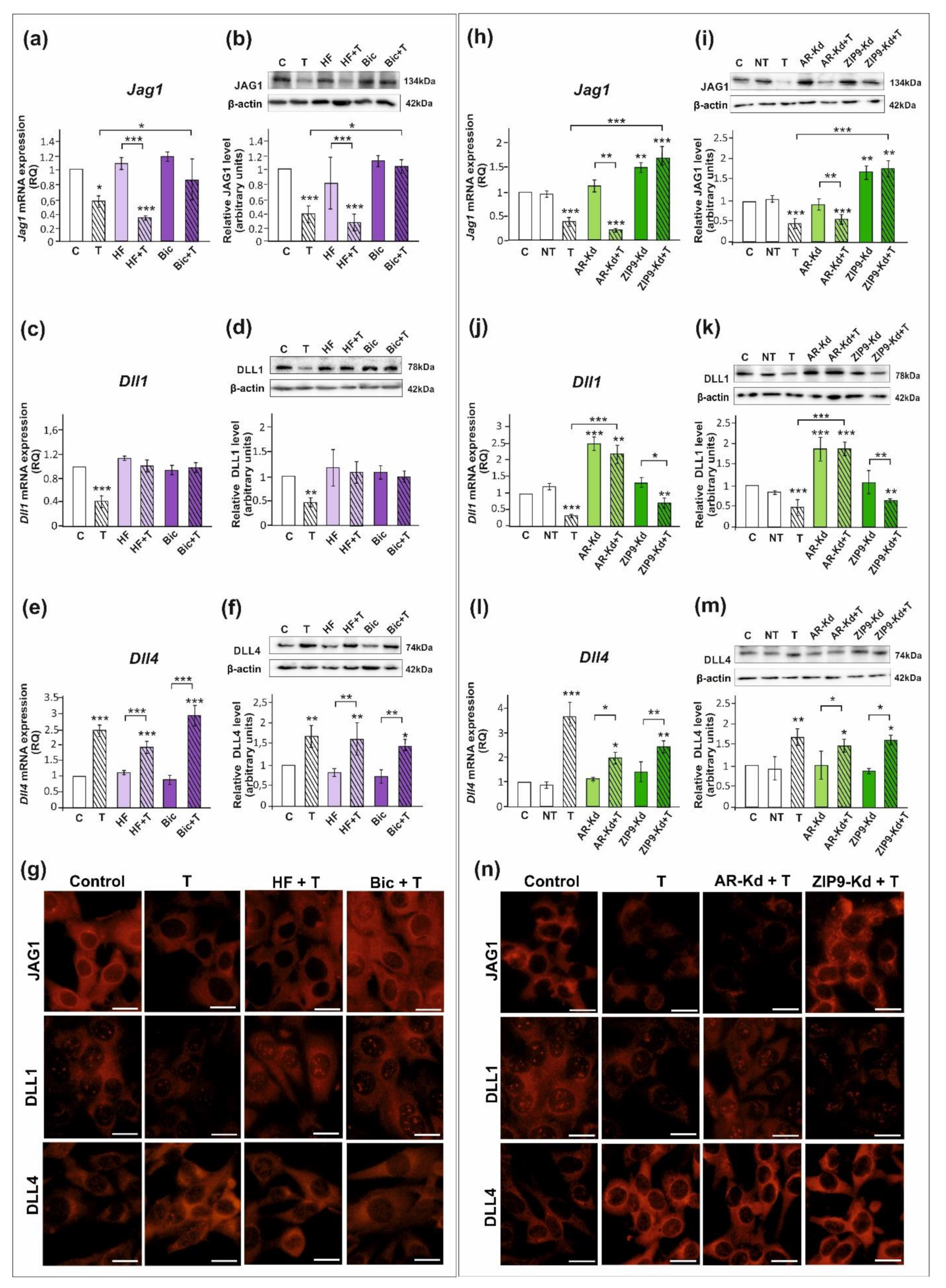 Ijms 23 02284 g002 Ijms 23 02284 g002