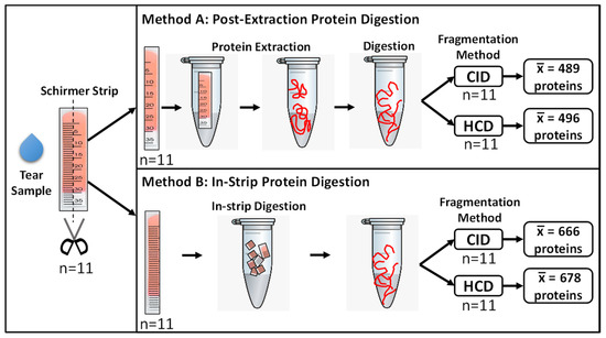 https://www.mdpi.com/ijms/ijms-23-02307/article_deploy/html/images/ijms-23-02307-g001-550.jpg