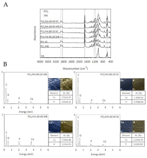 (PDF) Custom-Made Synthetic Scaffolds for Bone Reconstruction: A  Retrospective, Multicenter Clinical Study on 15 Patients