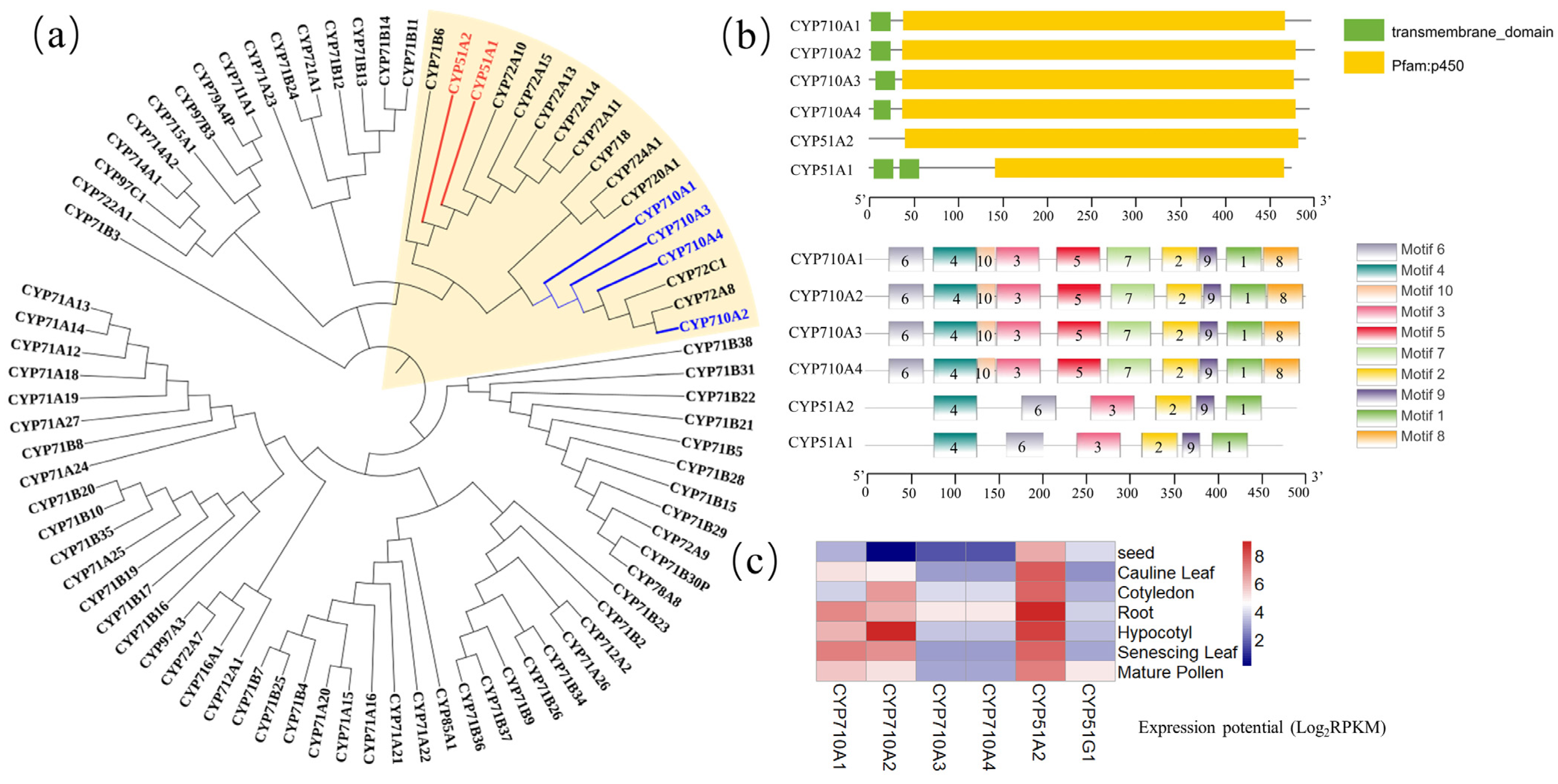 Ijms 23 02332 g003 Ijms 23 02332 g003