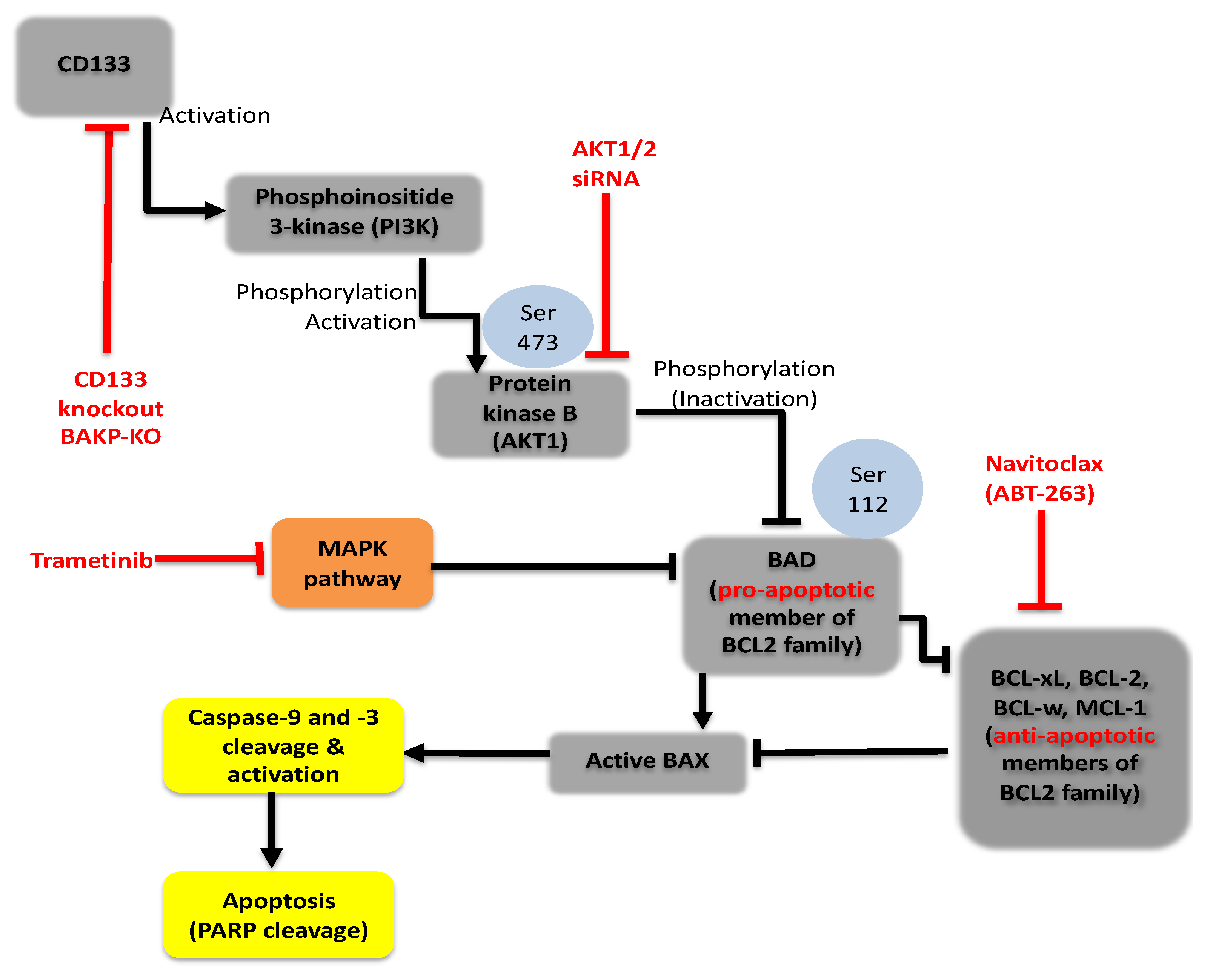 Ijms 23 02333 g008 Ijms 23 02333 g008