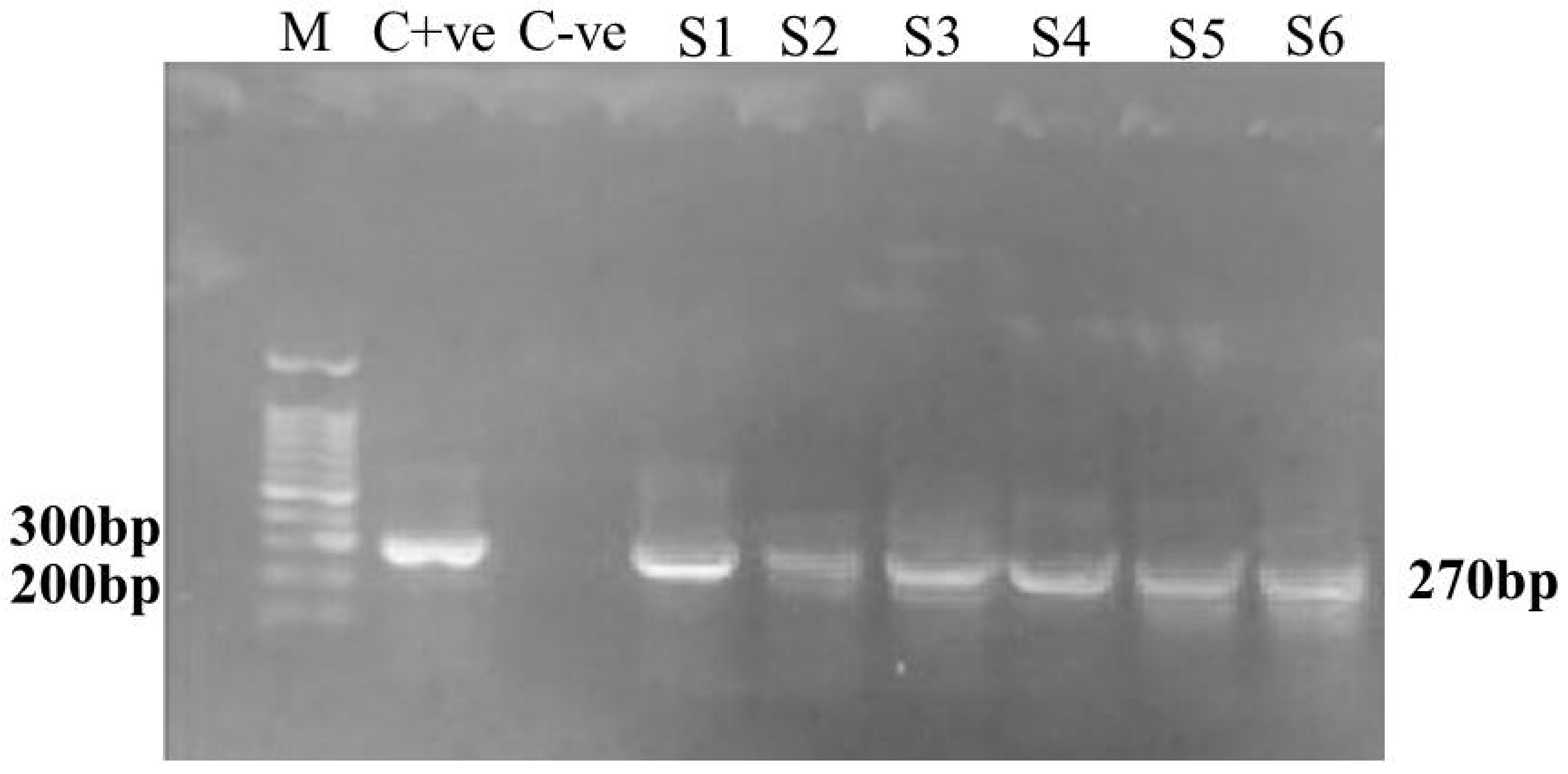 Ijms 23 02335 g007